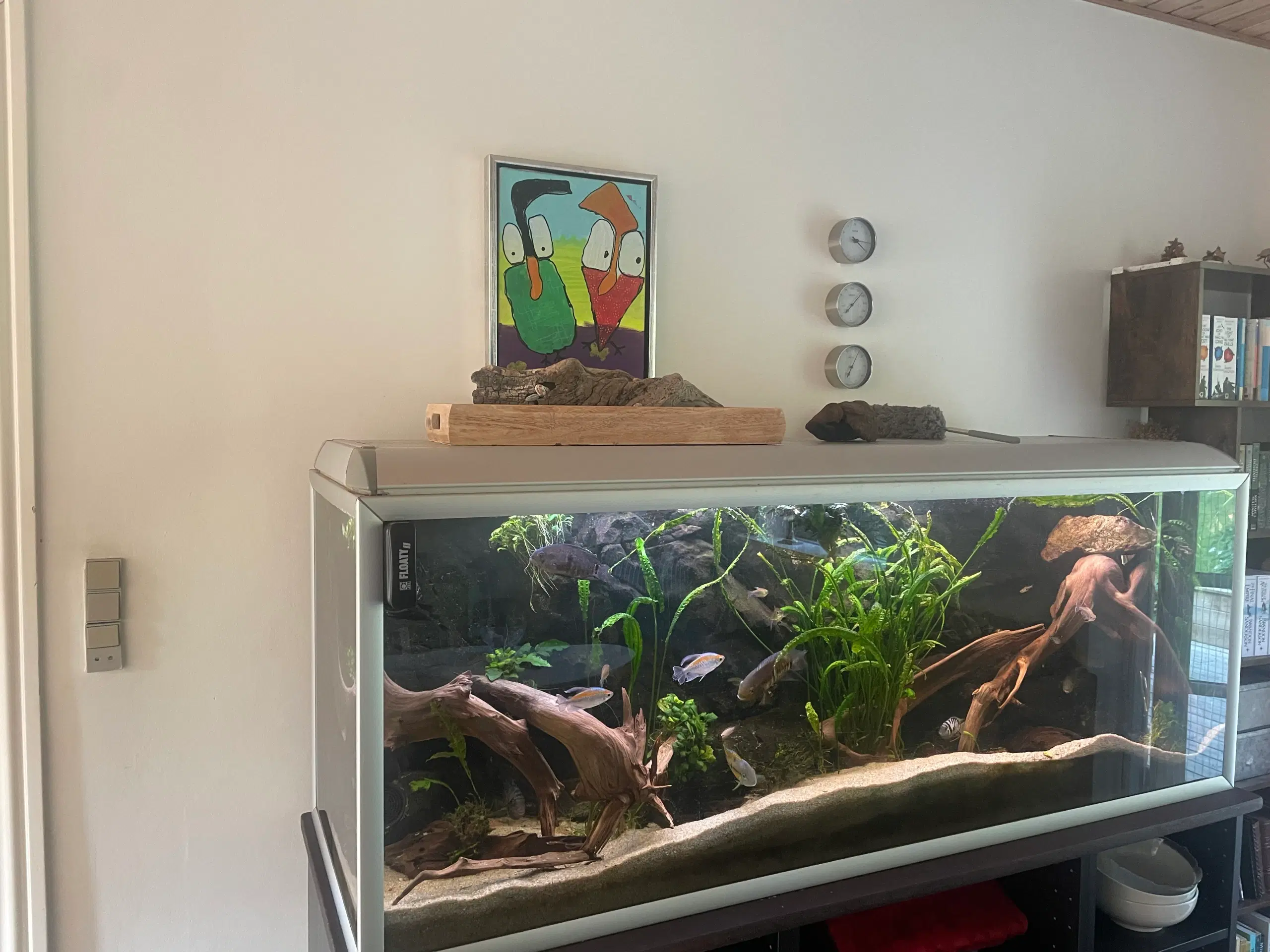 530 liter akvarie