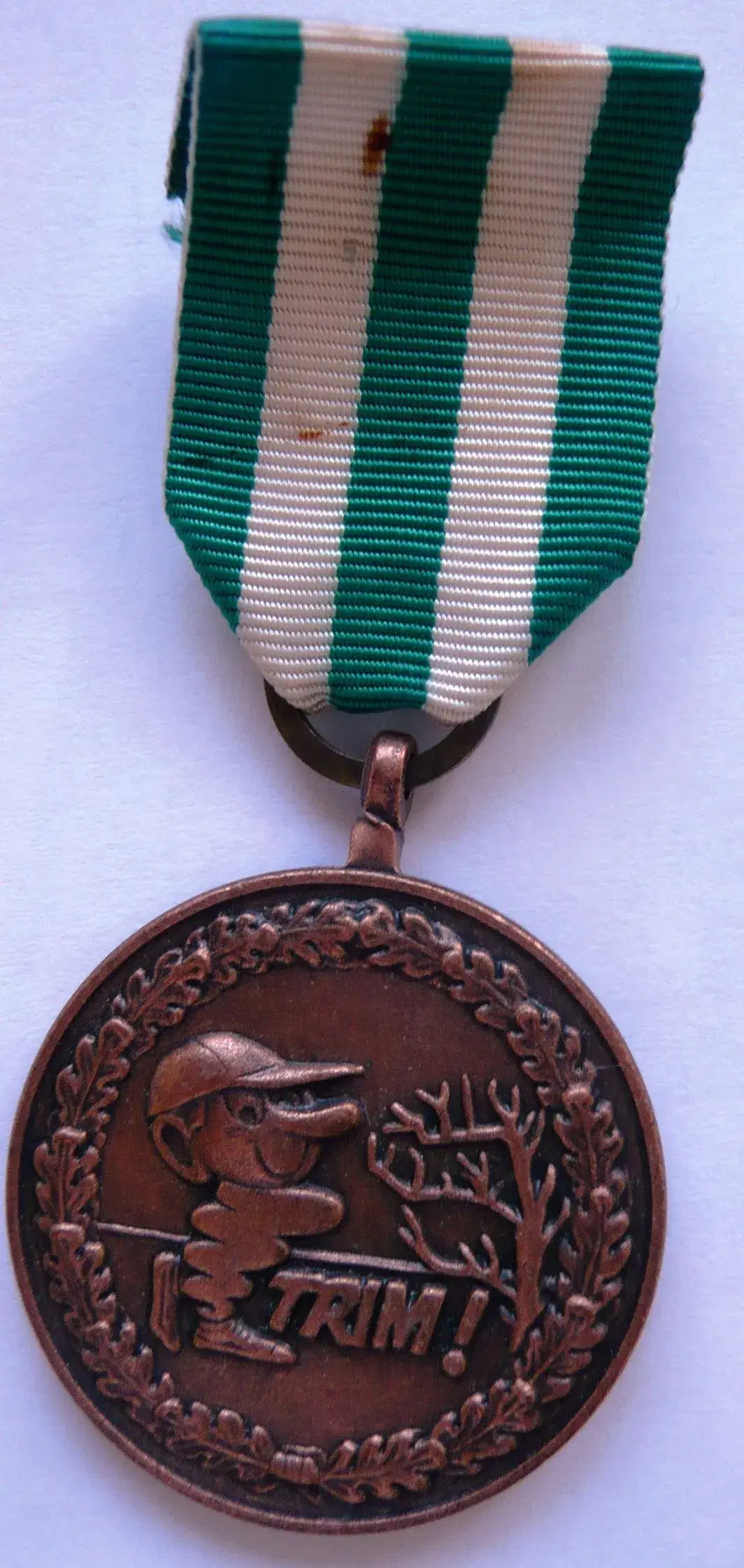 Diverse medaljer (10)