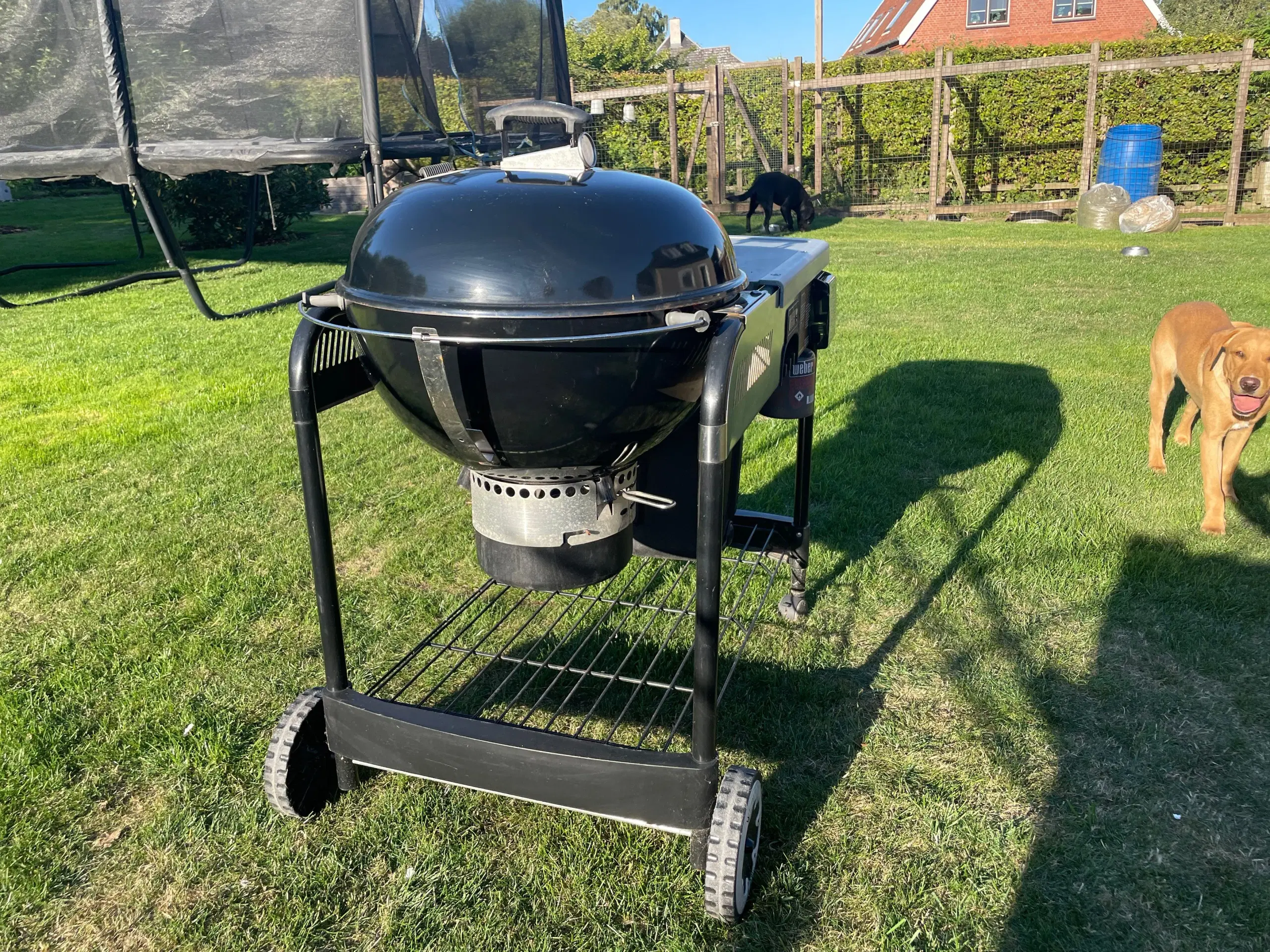 Weber kugle grill