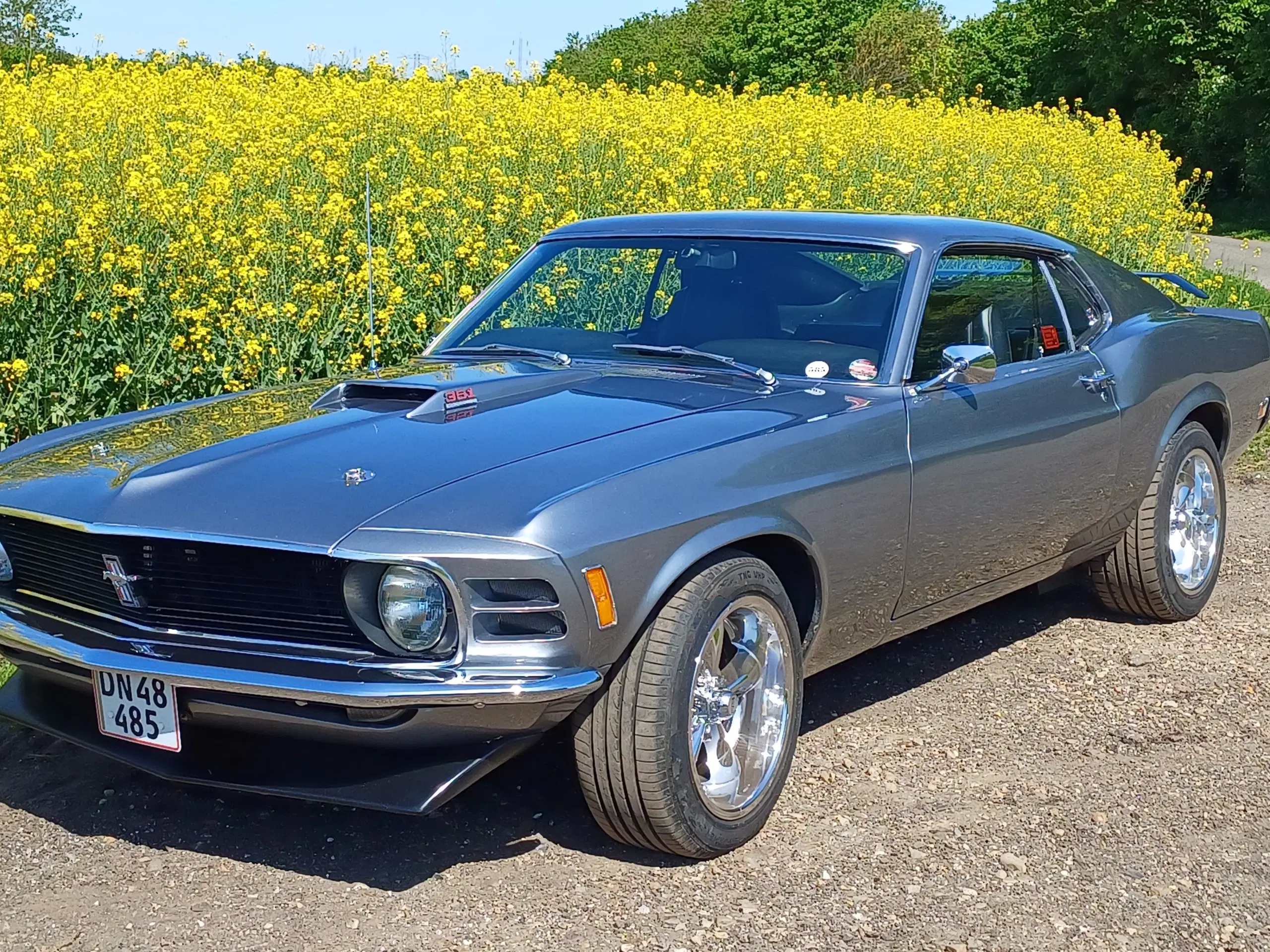 1970 Ford Mustang Fastback