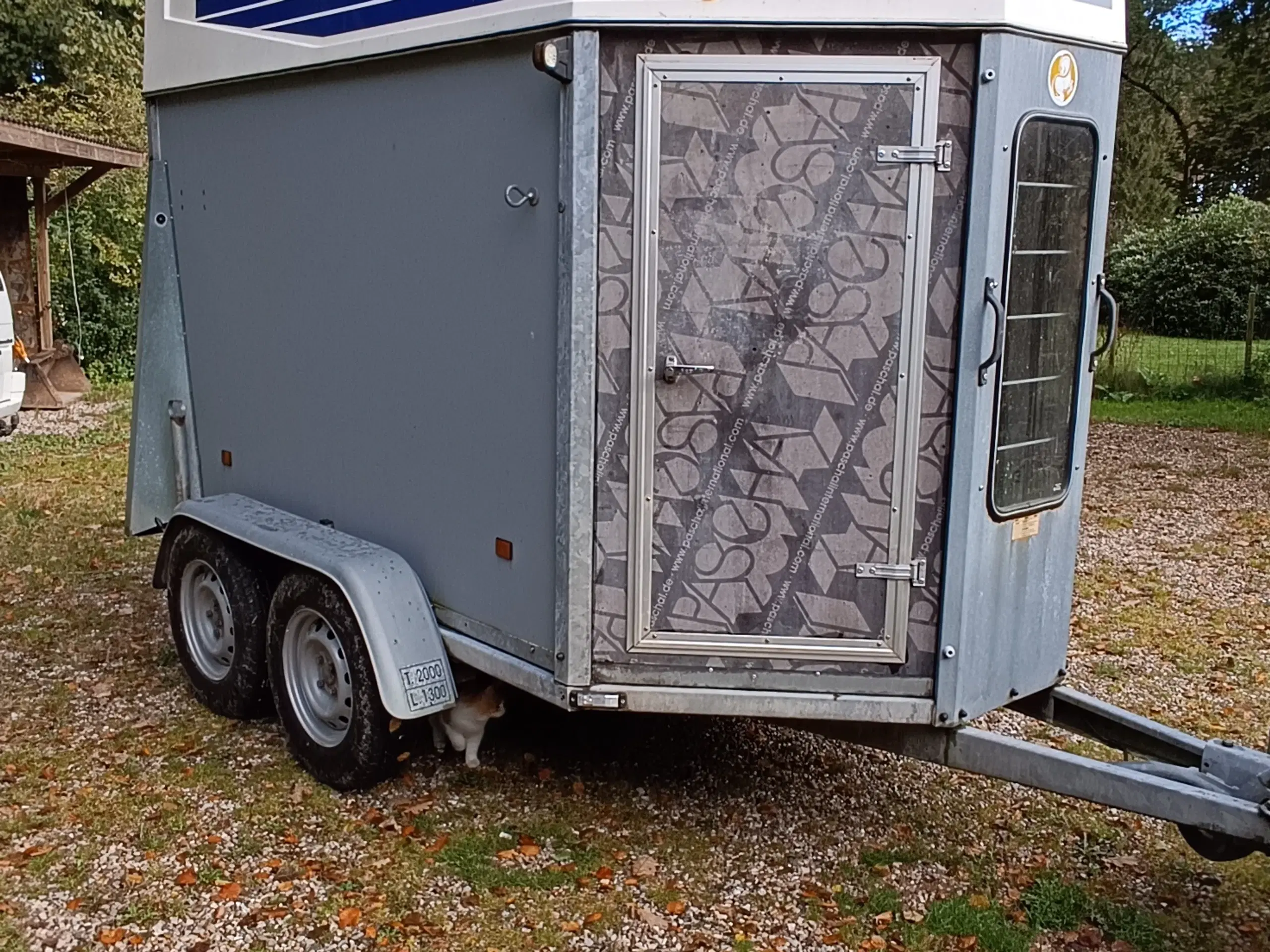 Hestetrailer / allround