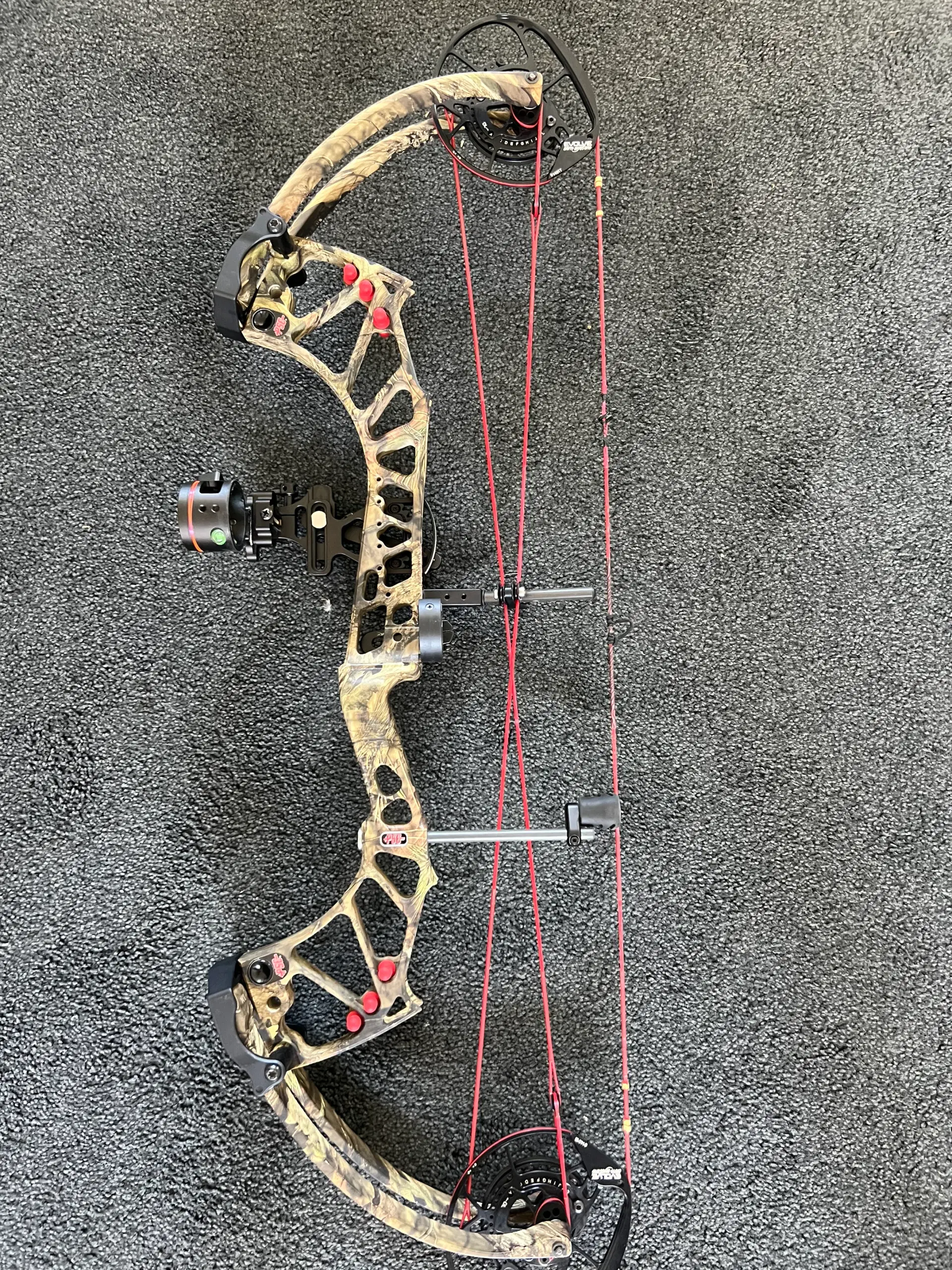 Pse evolve 31