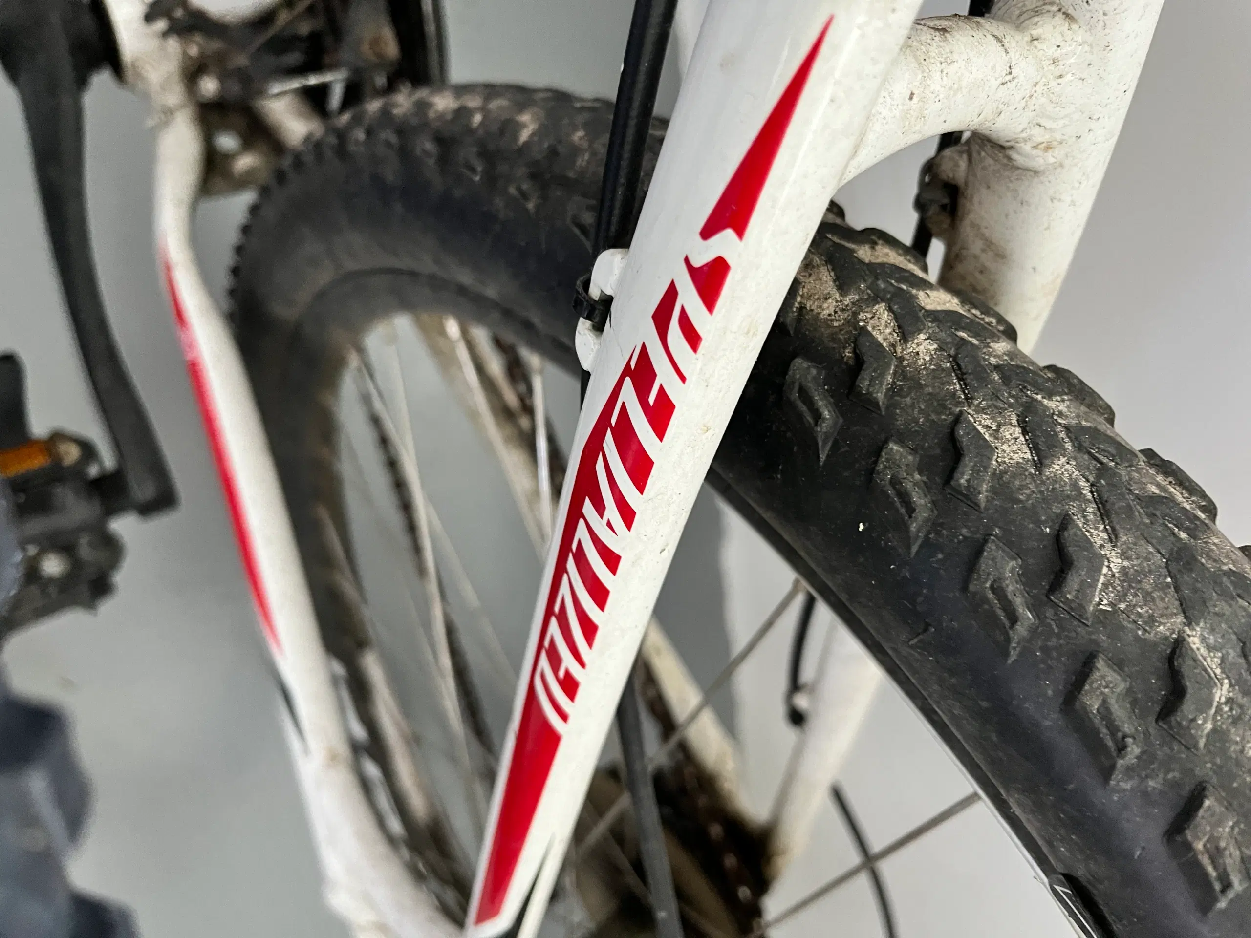 Spezialized mountainbike