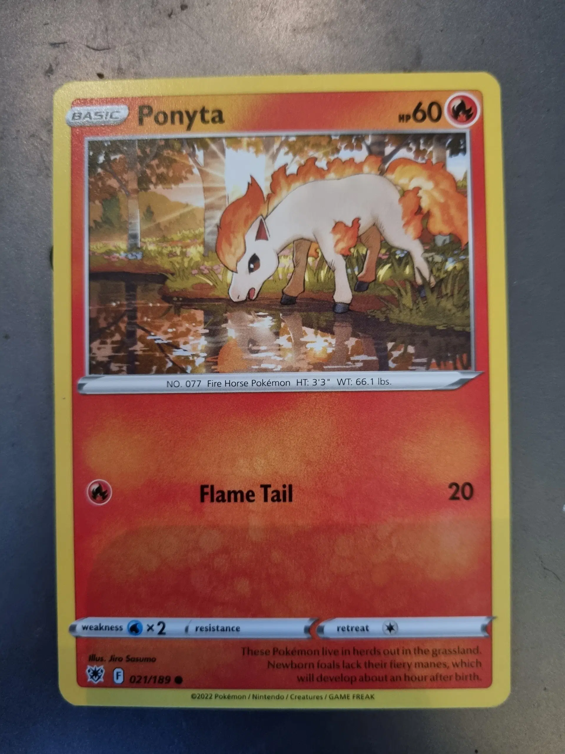 Pokemon kort fra forskellige serier