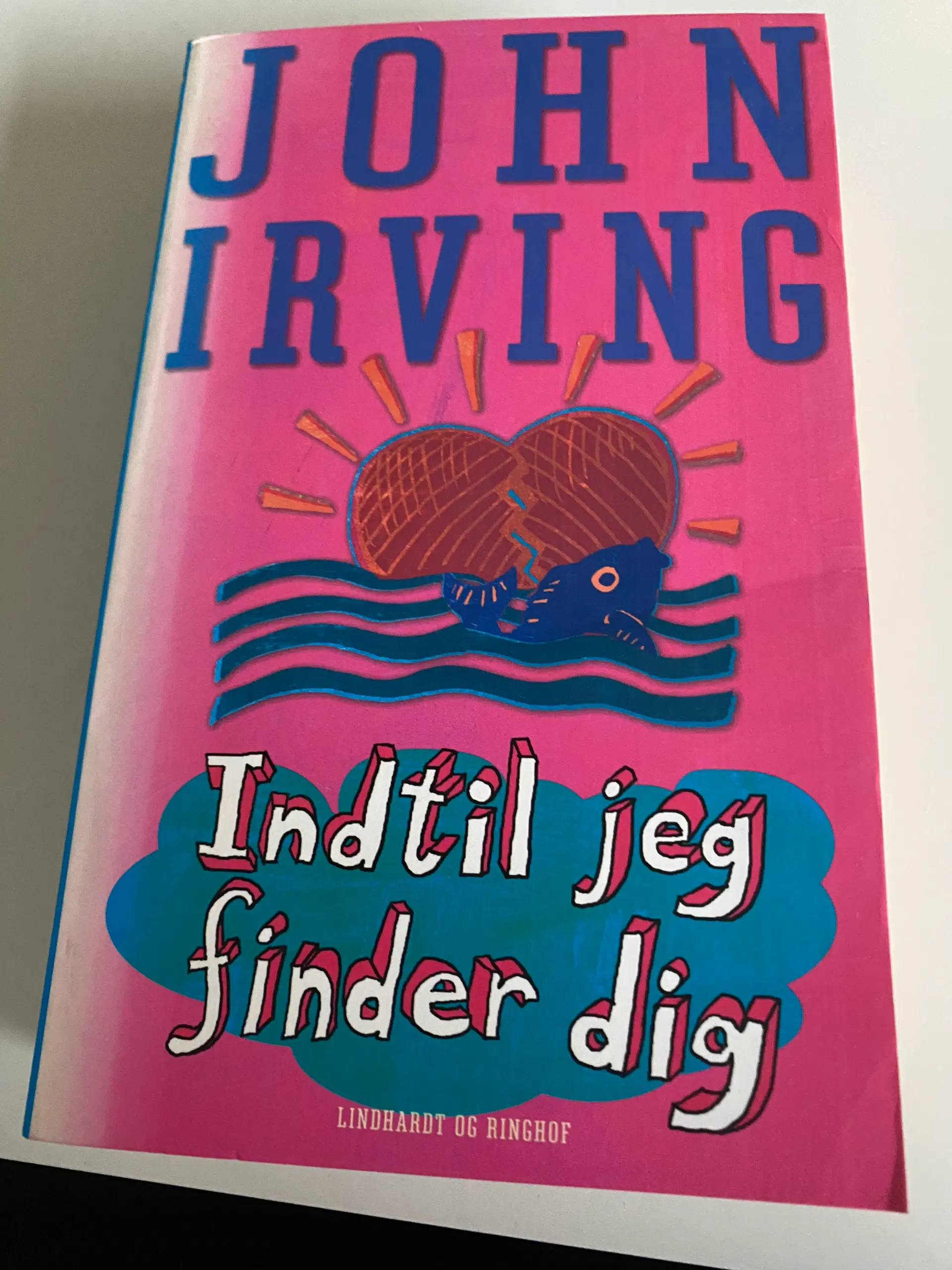 Indtil jeg finder dig af John Irving