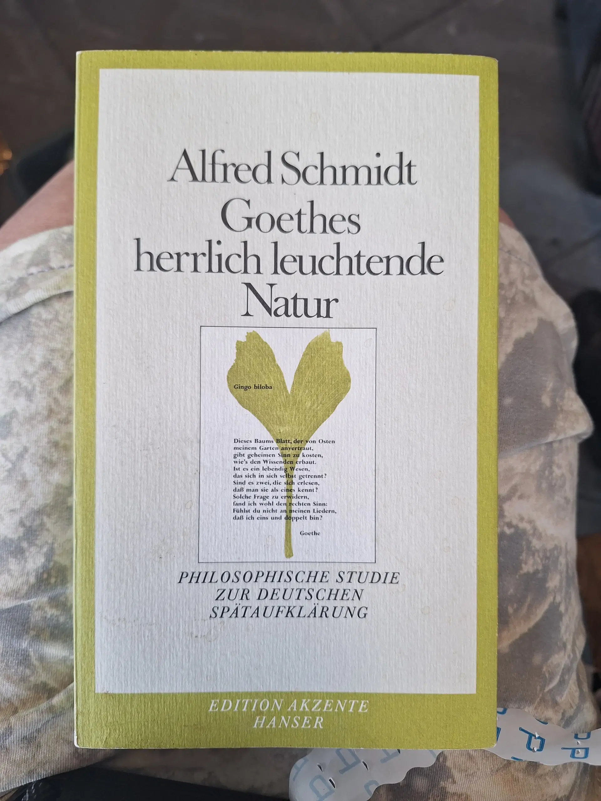 Alfred Schmidt Goethes herlich 