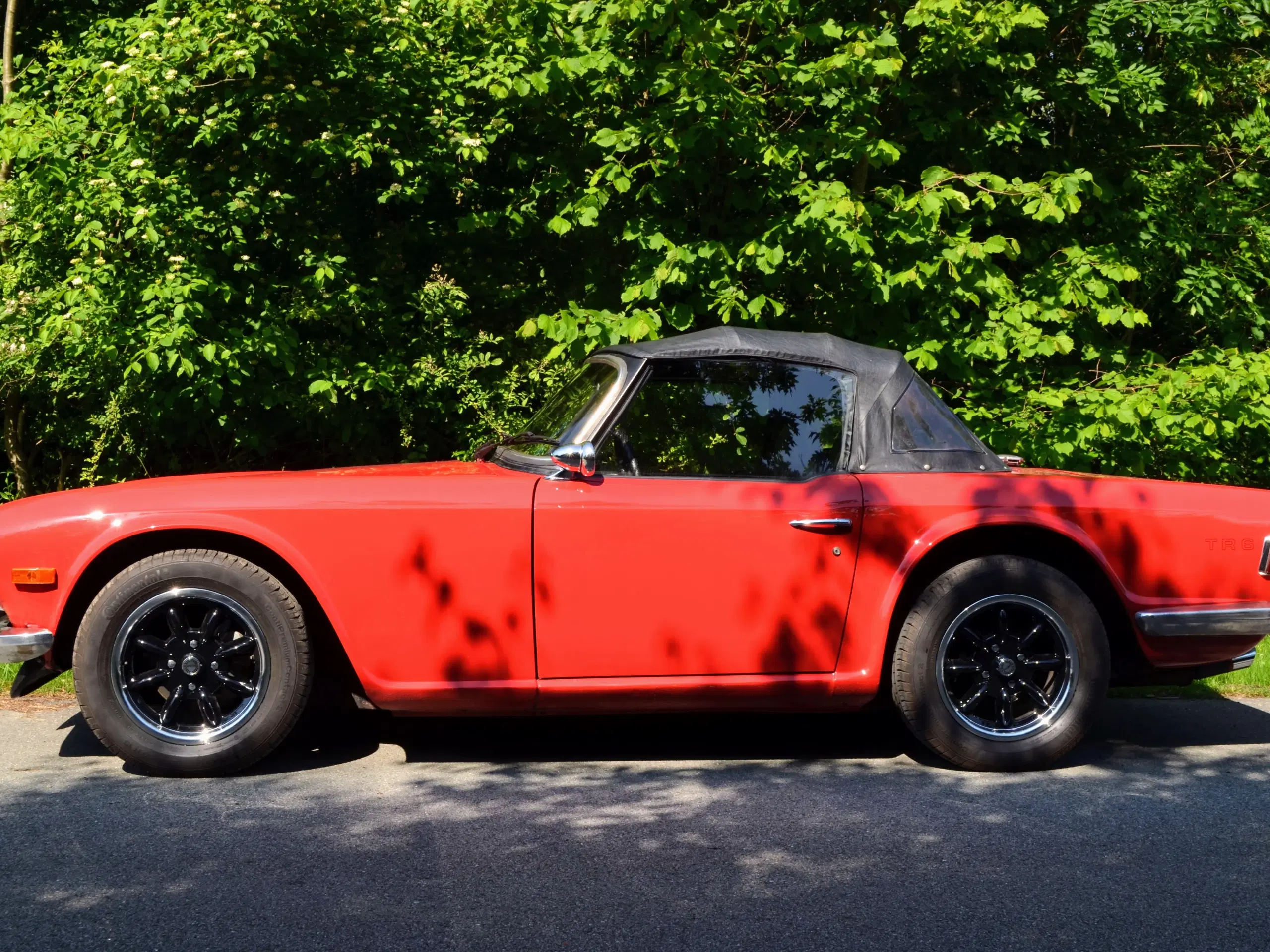 TRIUMPH TR 6 25 Roadster 1970