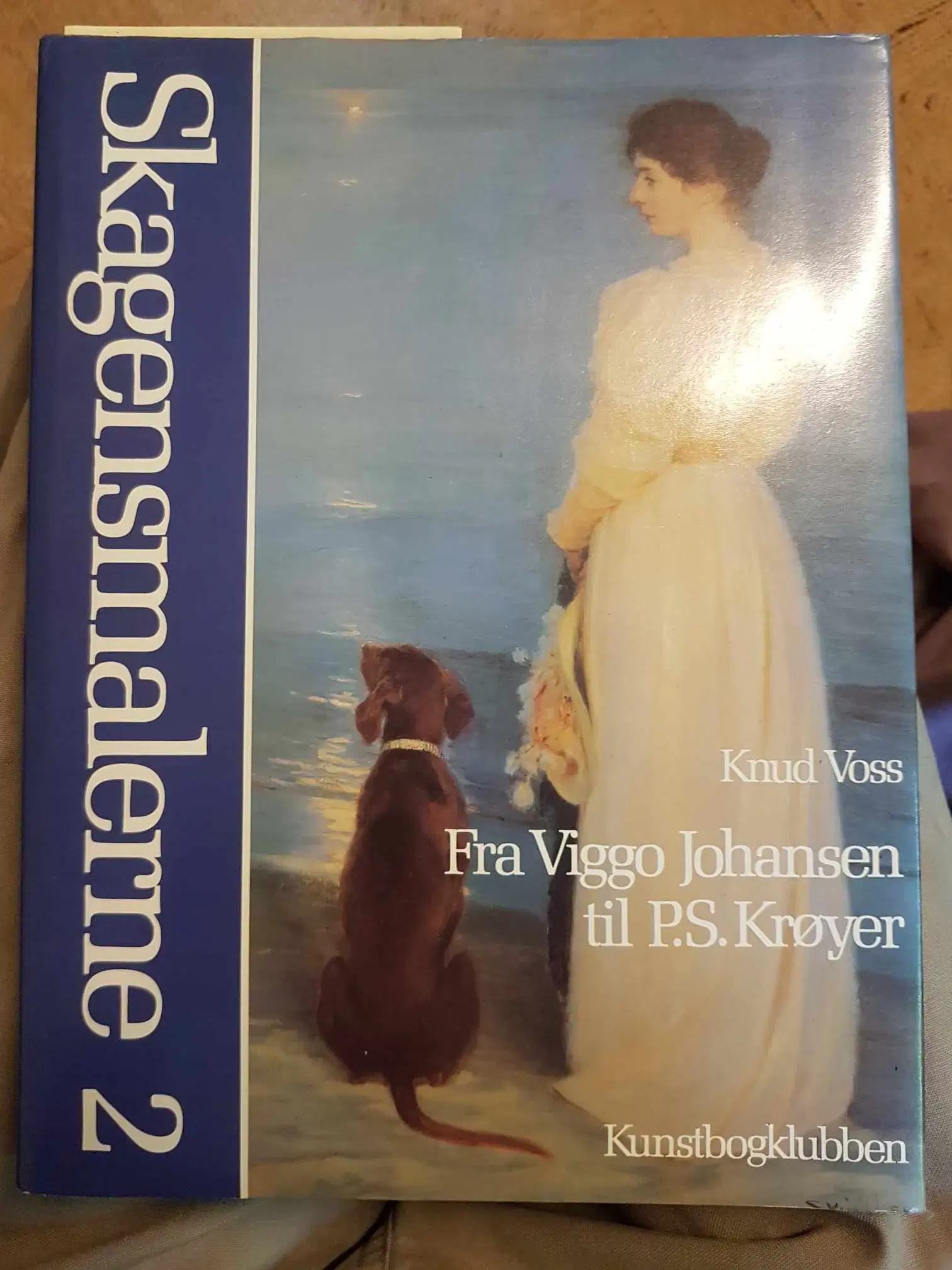 Kunstbøger Carl Larsson Skagensmalerne Lautrec mfl