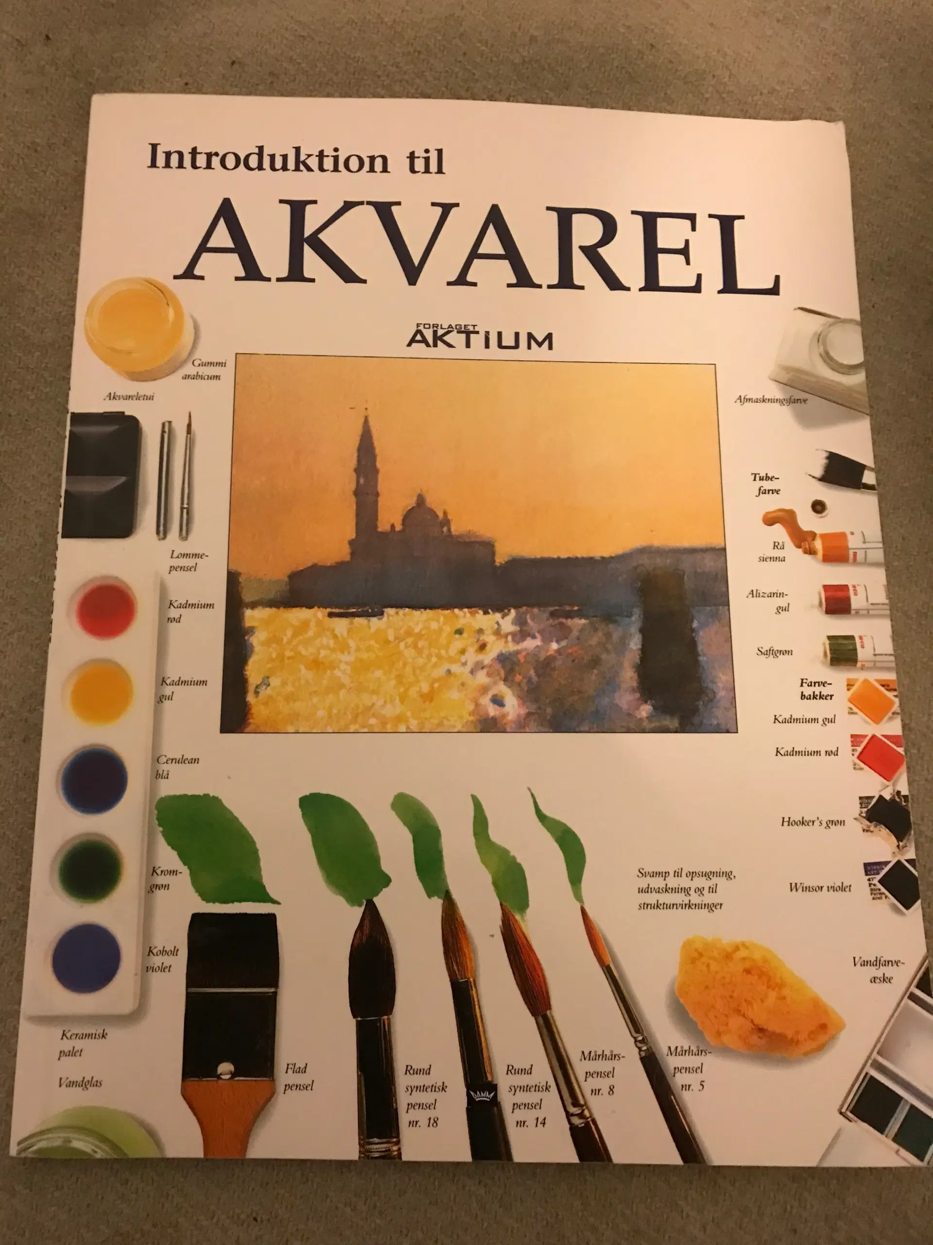 Introduktion Til Akvarel Lærebog i Maleri