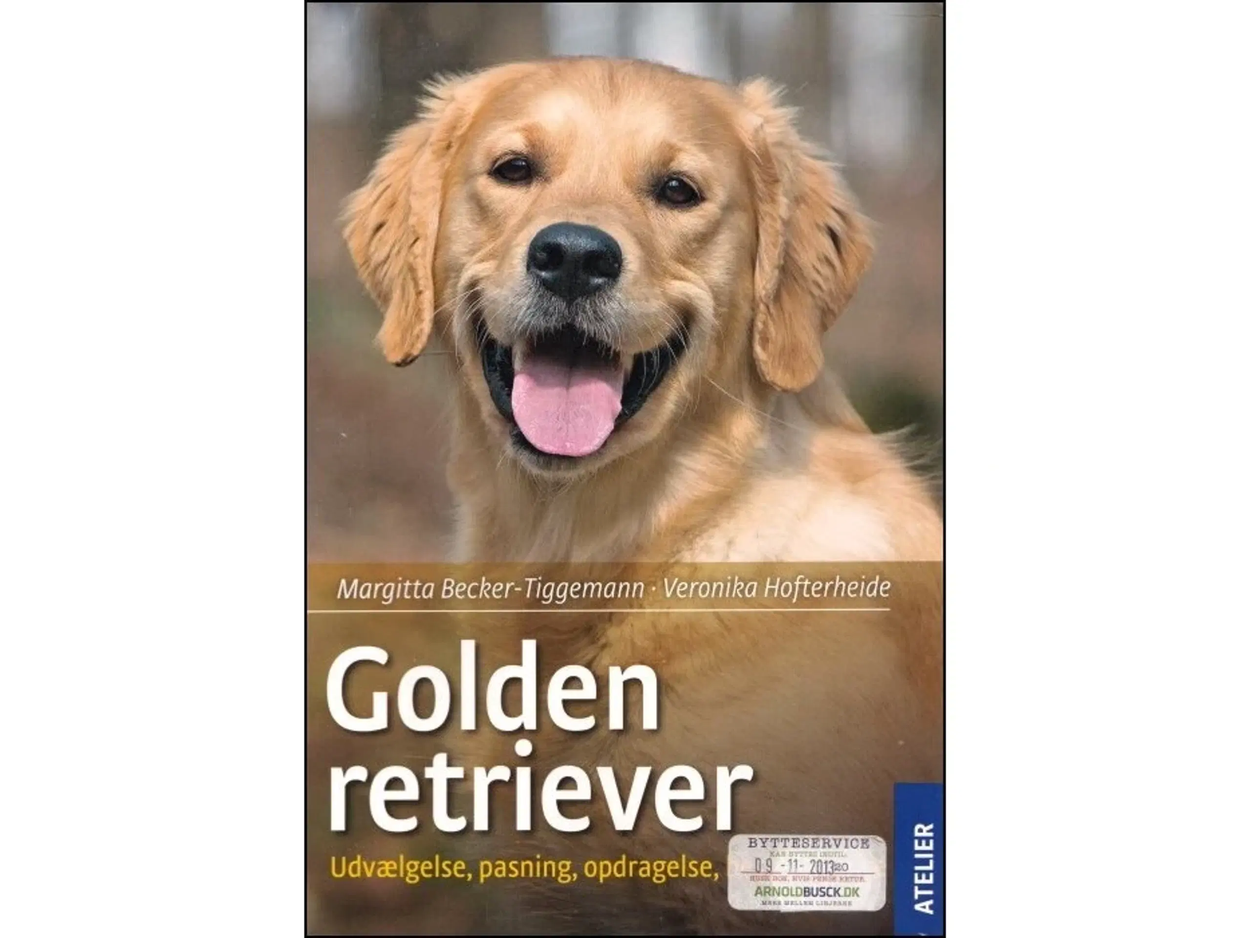 Golden Retriever