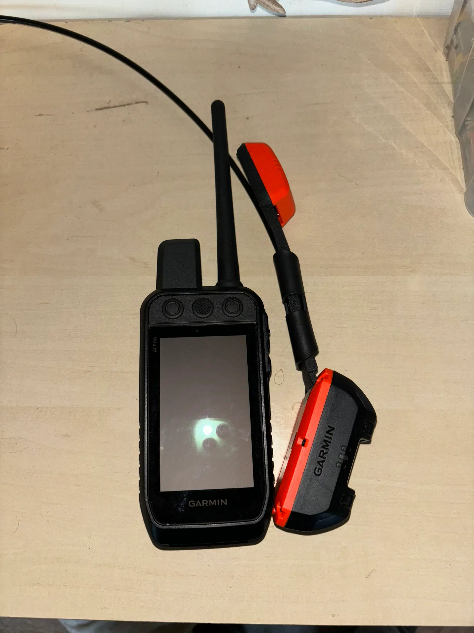 Garmin 300 + T20 halsbånd