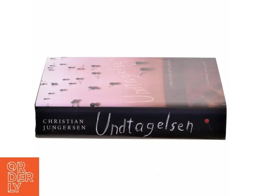 Undtagelsen : roman af Christian Jungersen (Bog)