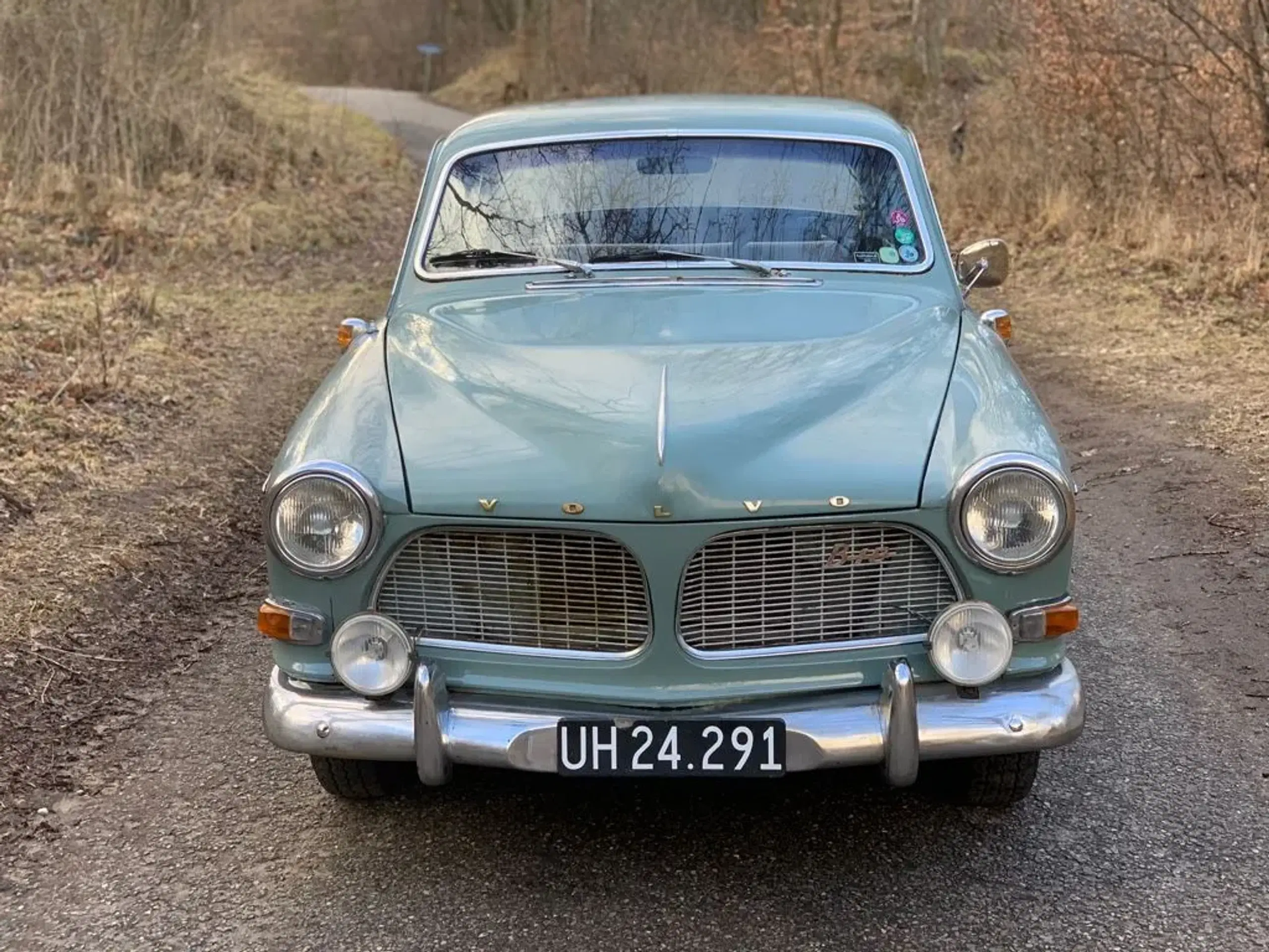 Volvo Amazon B18