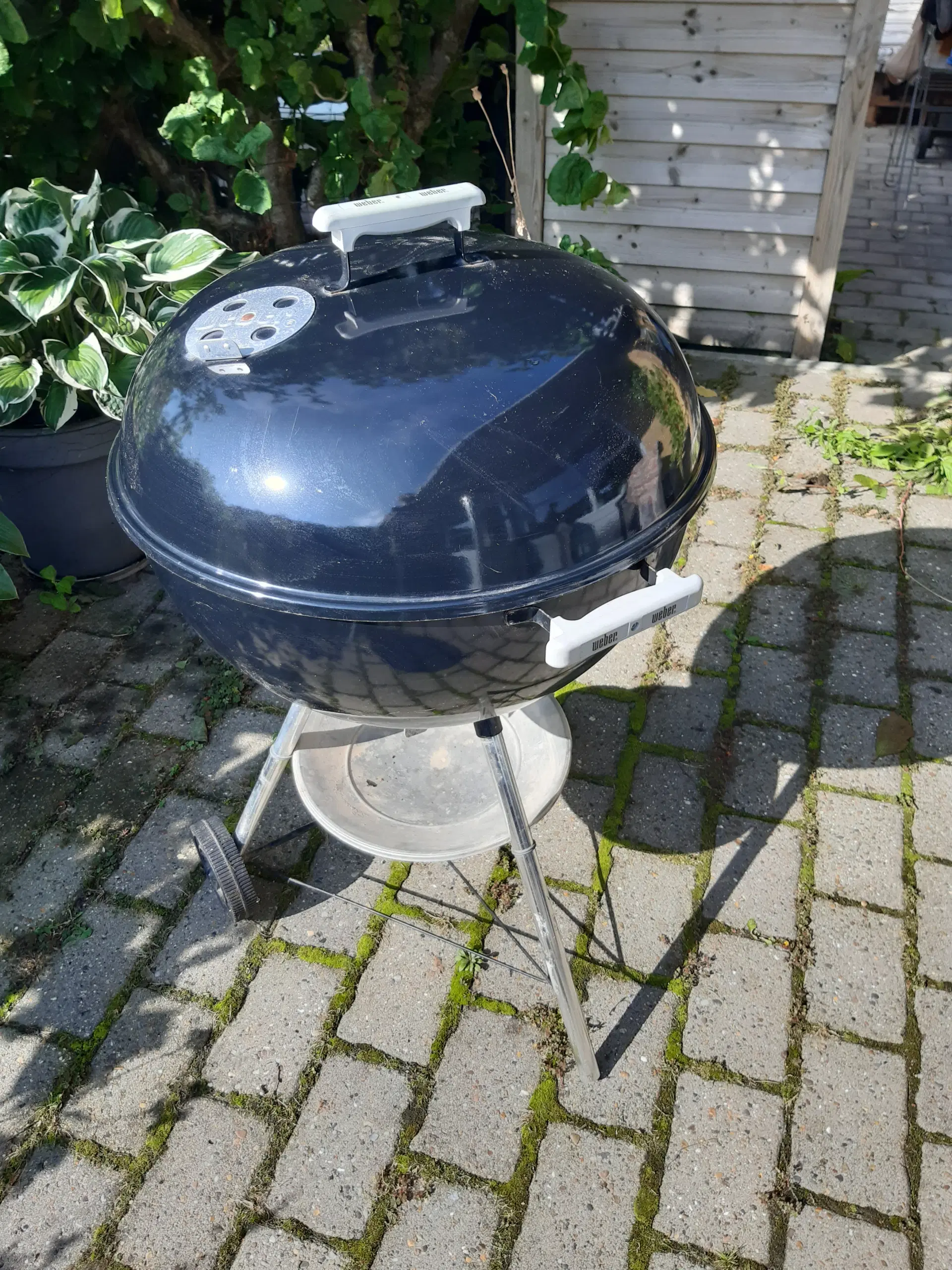 Veber kugle kul grill