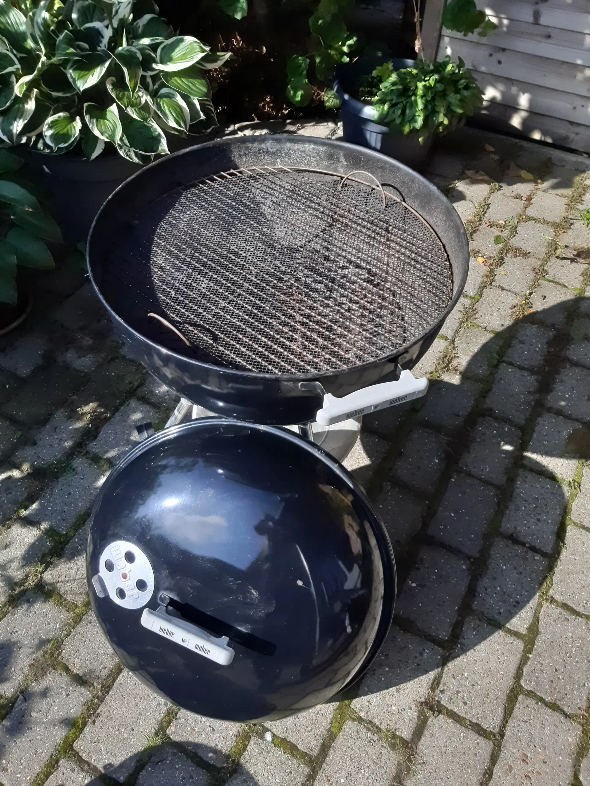 Veber kugle kul grill