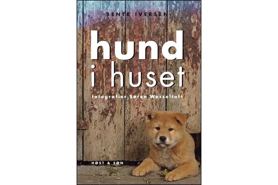 Hund i Huset