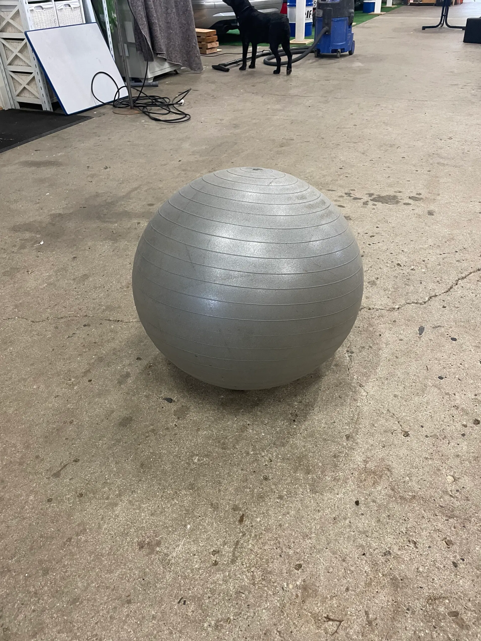 Motionsbolde / Fitnessbolde 66 cm og 75 cm