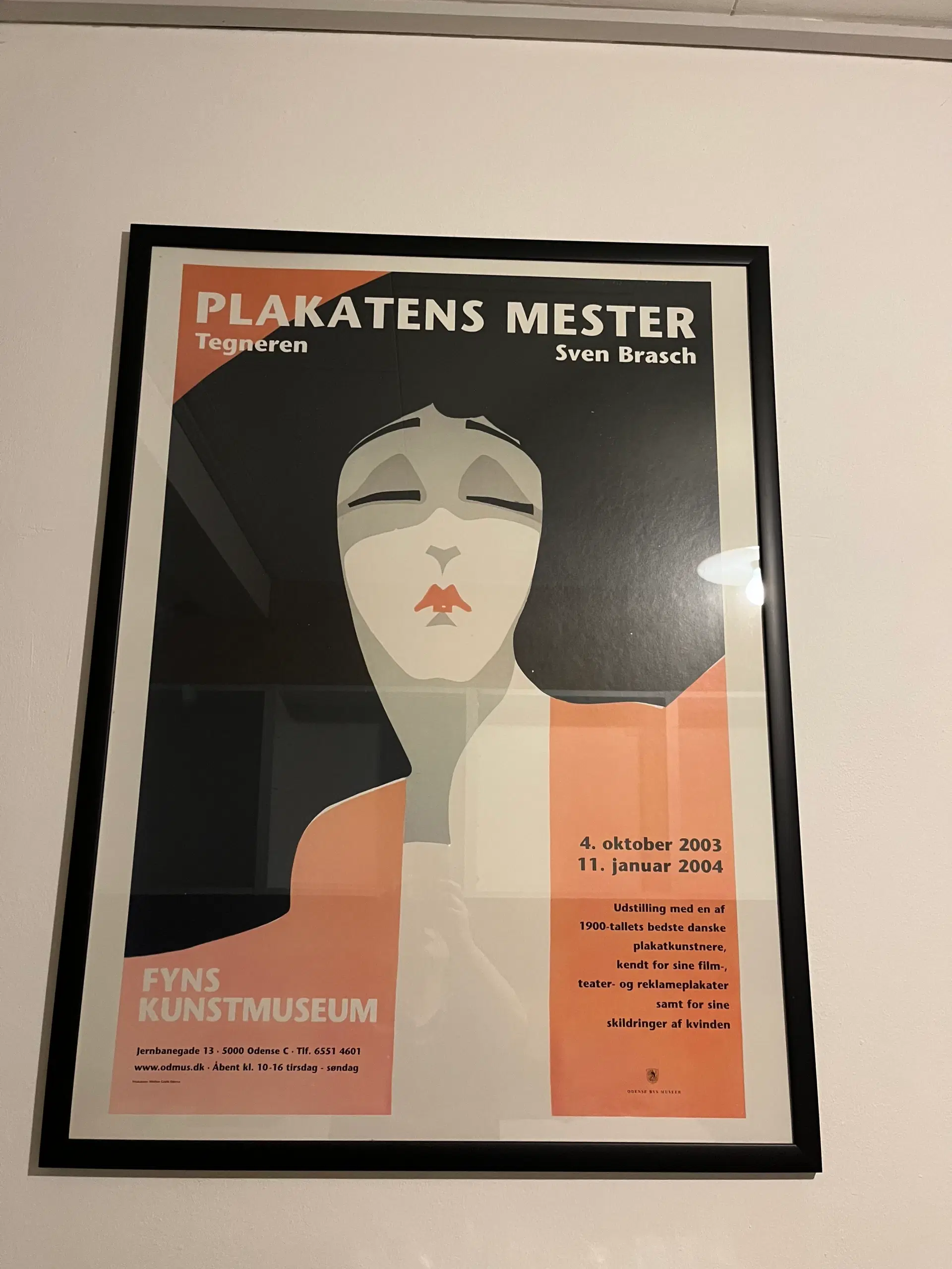 Billede / plakat indrammet