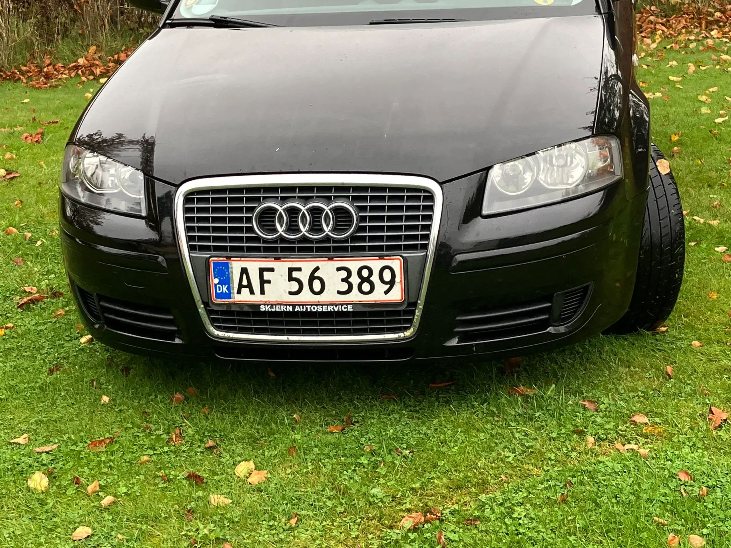 Audi a3 nysynet