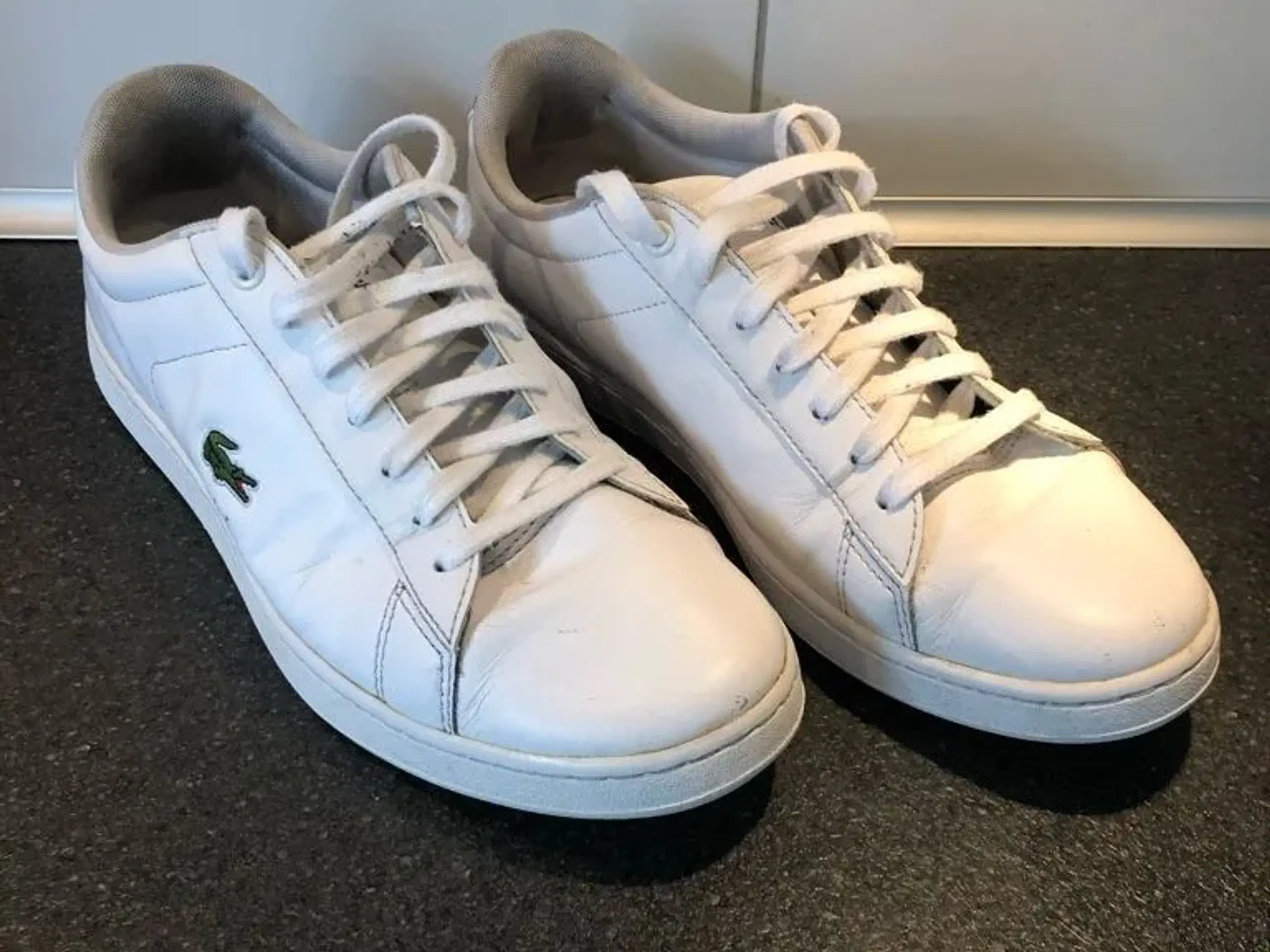 Lacoste sneakers - Carnaby EVO BL1