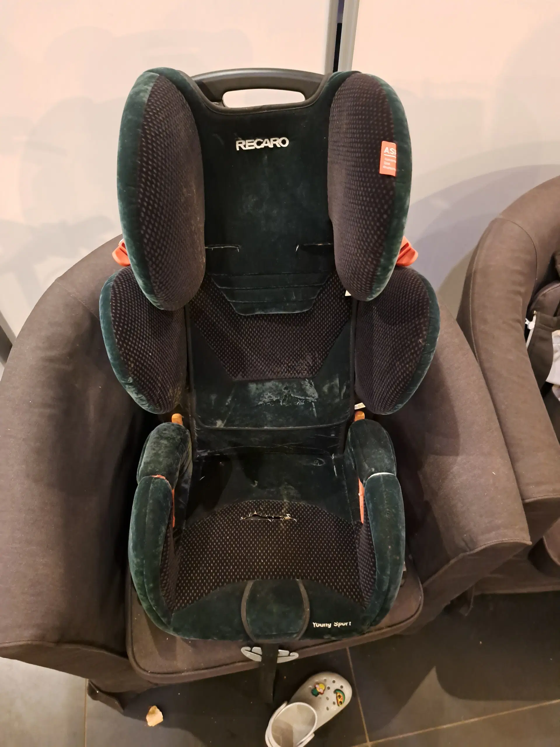 Recaro barnestol young sport