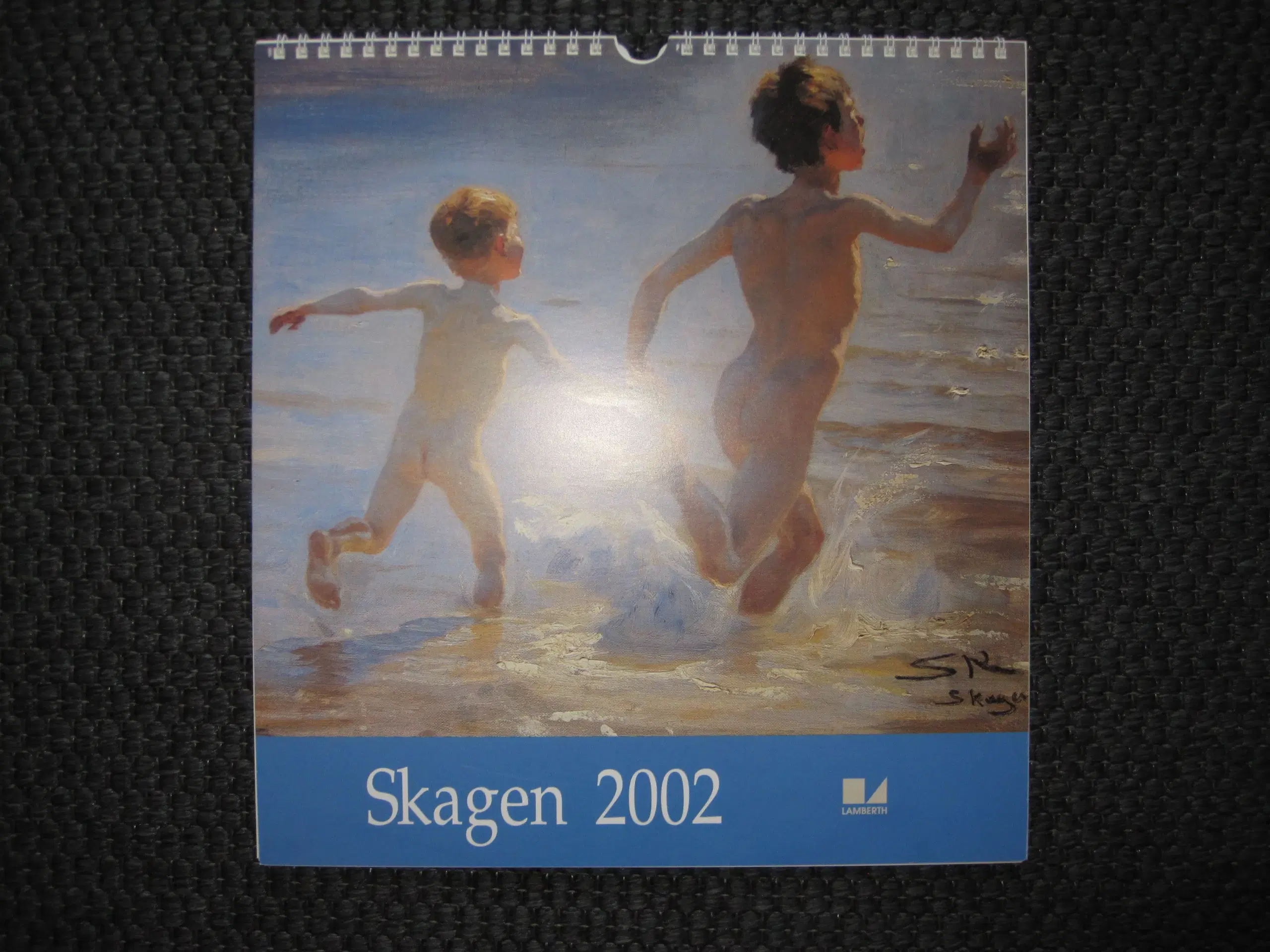 Skagenskalender