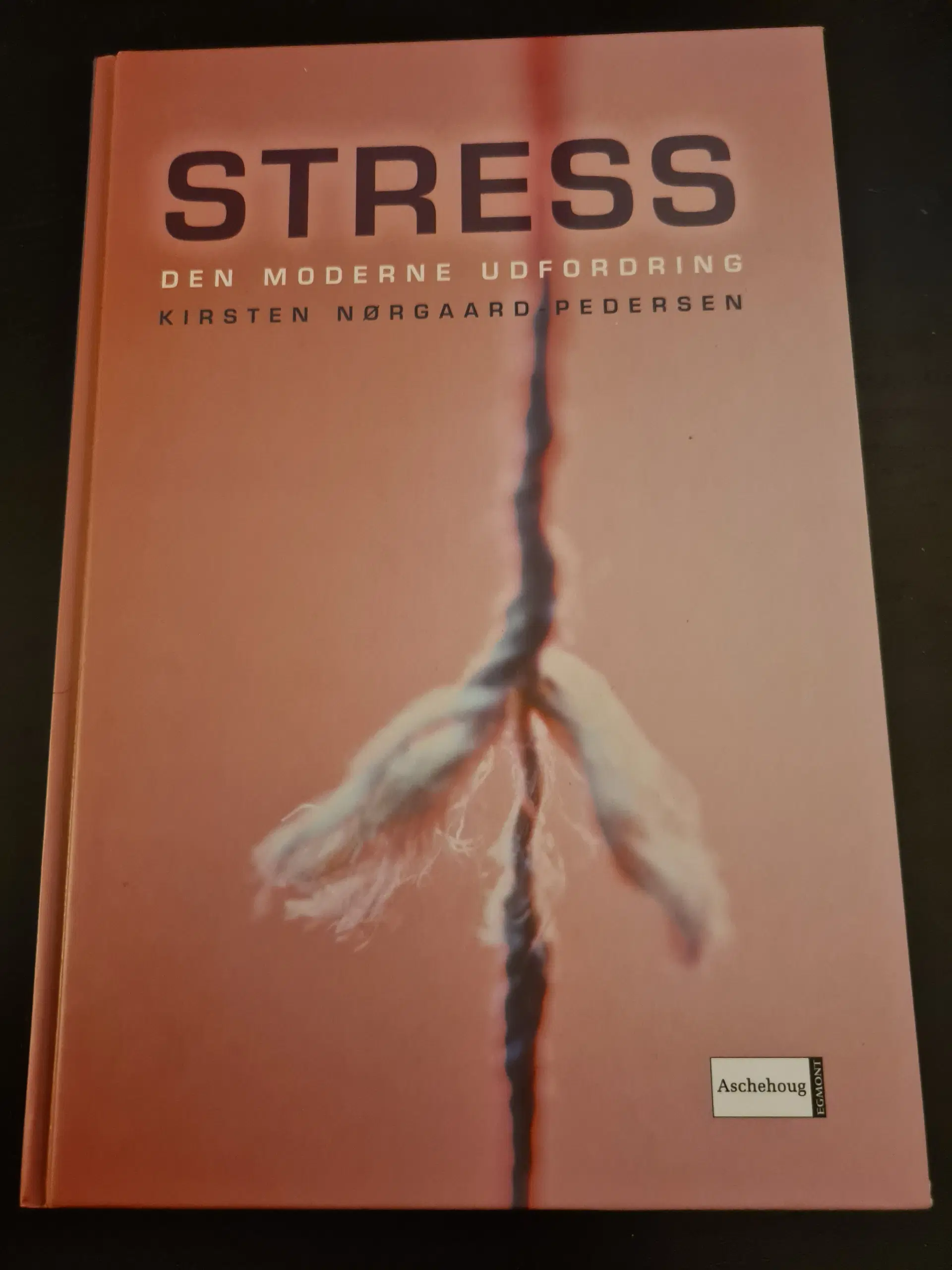 Stress - den moderne udfordring