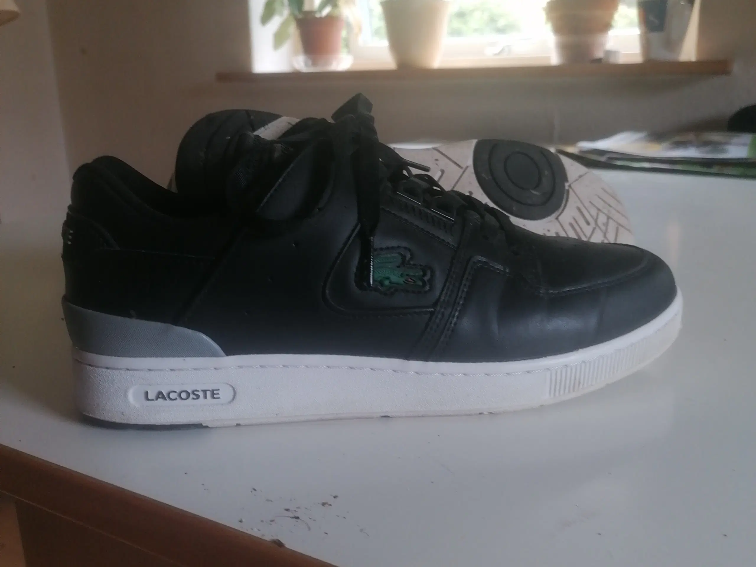 Snakers lacoste str 42