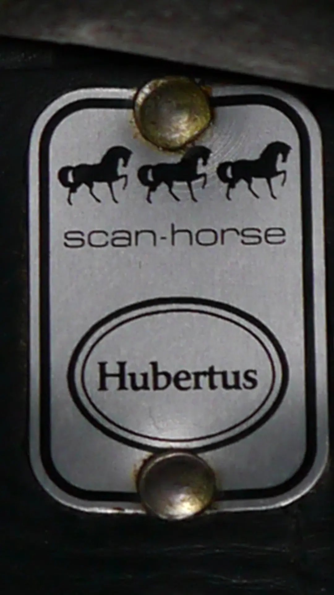 Dressursadel Hubertus Scan – Hest 17 tommer - A