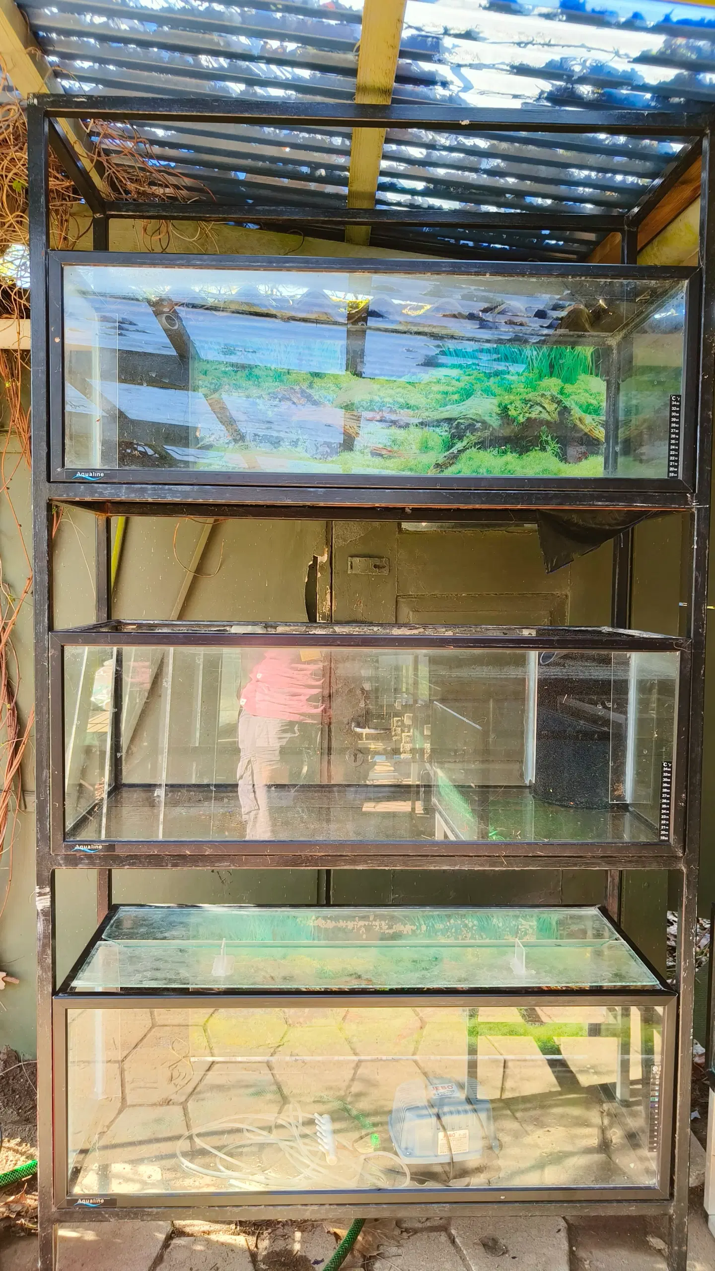 Akvarie reol med 3 stk 160 liters akvarier