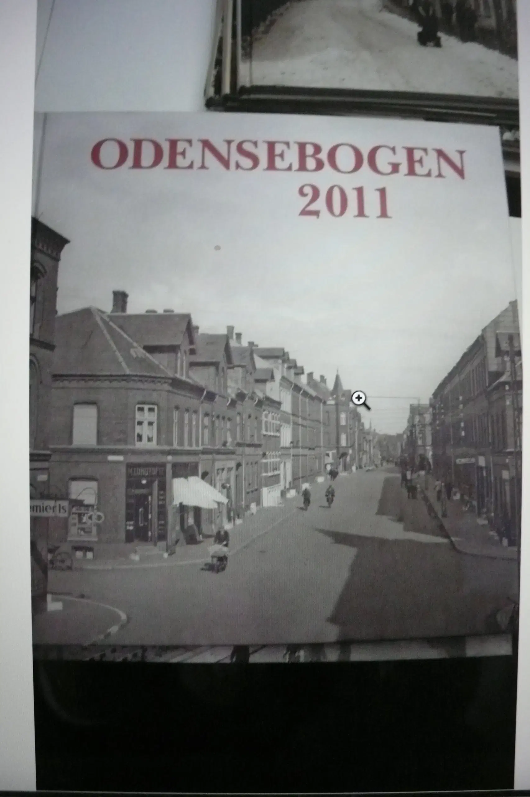 odense bøger