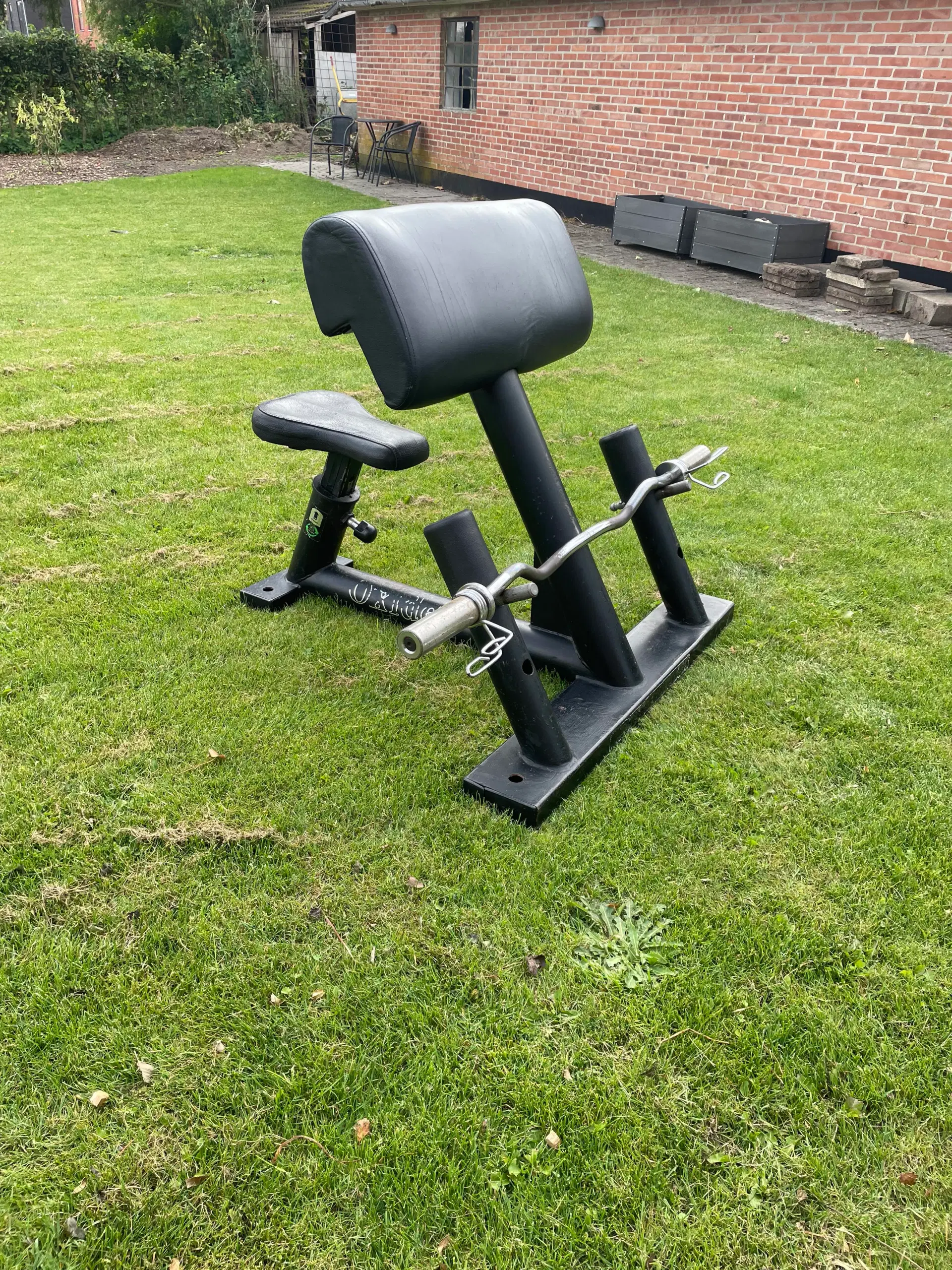 Preacher curl med stang