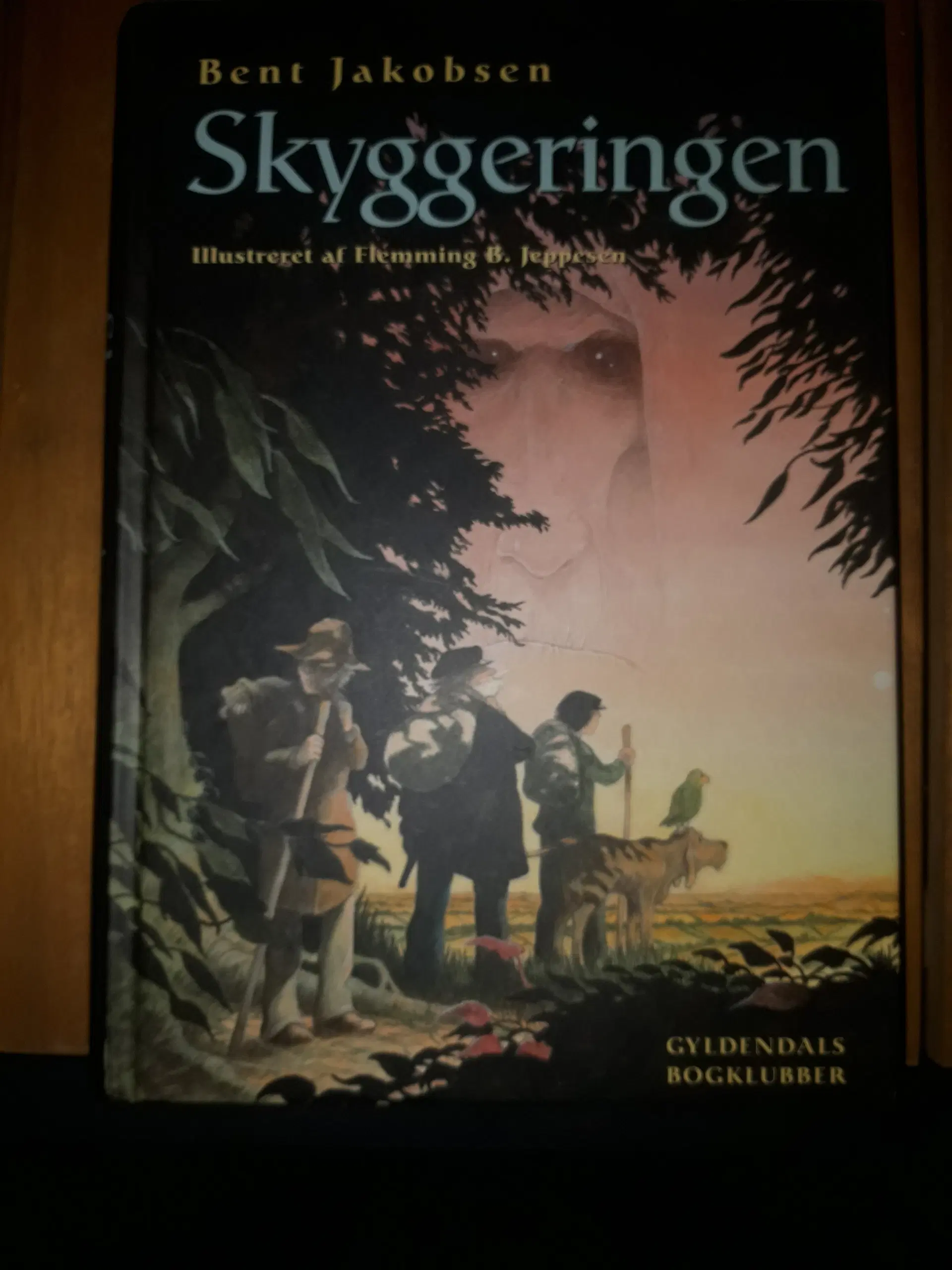 Skyggesiden børnebog