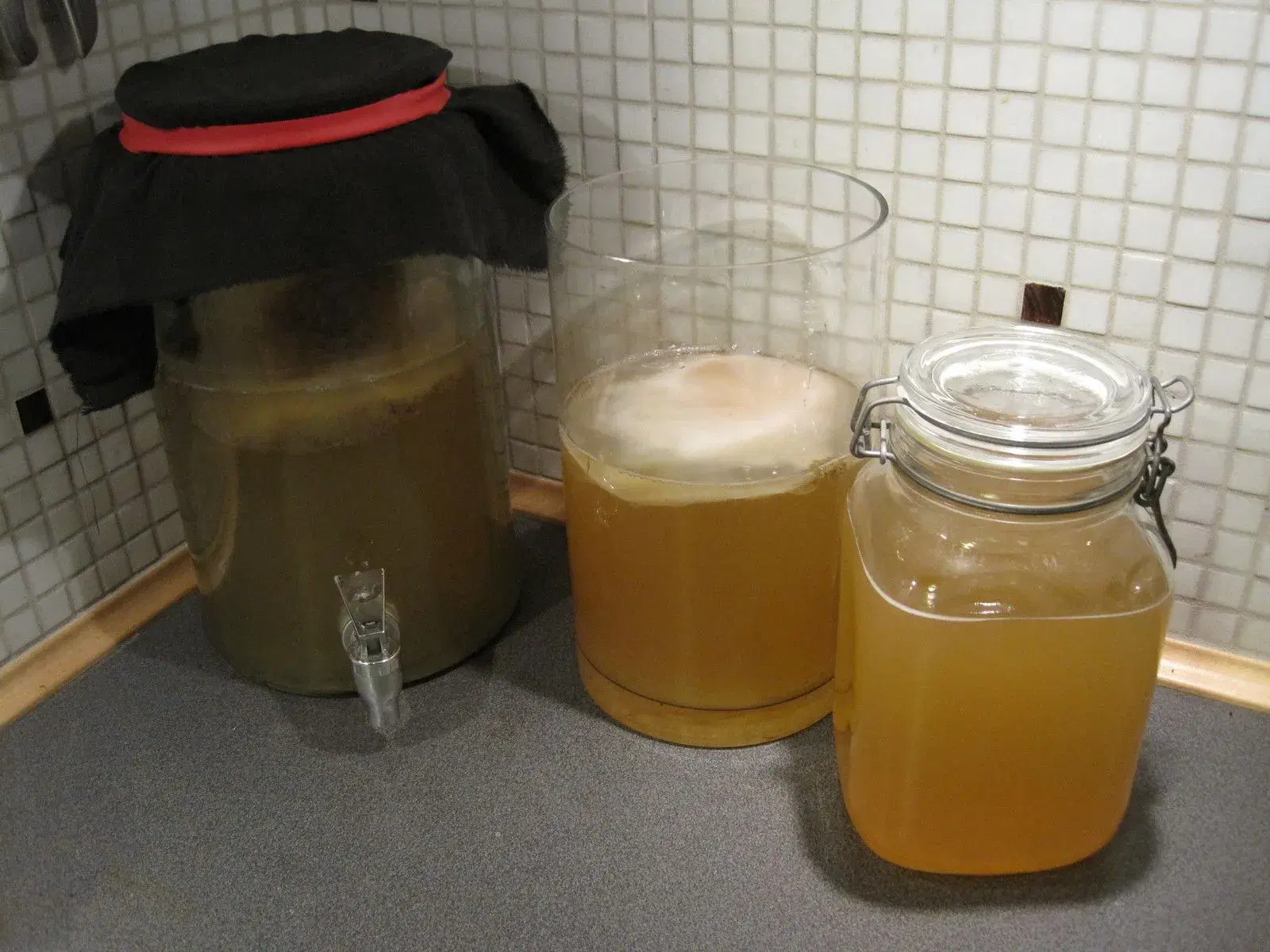 Kombucha Scoby probiotisk Te-svamp