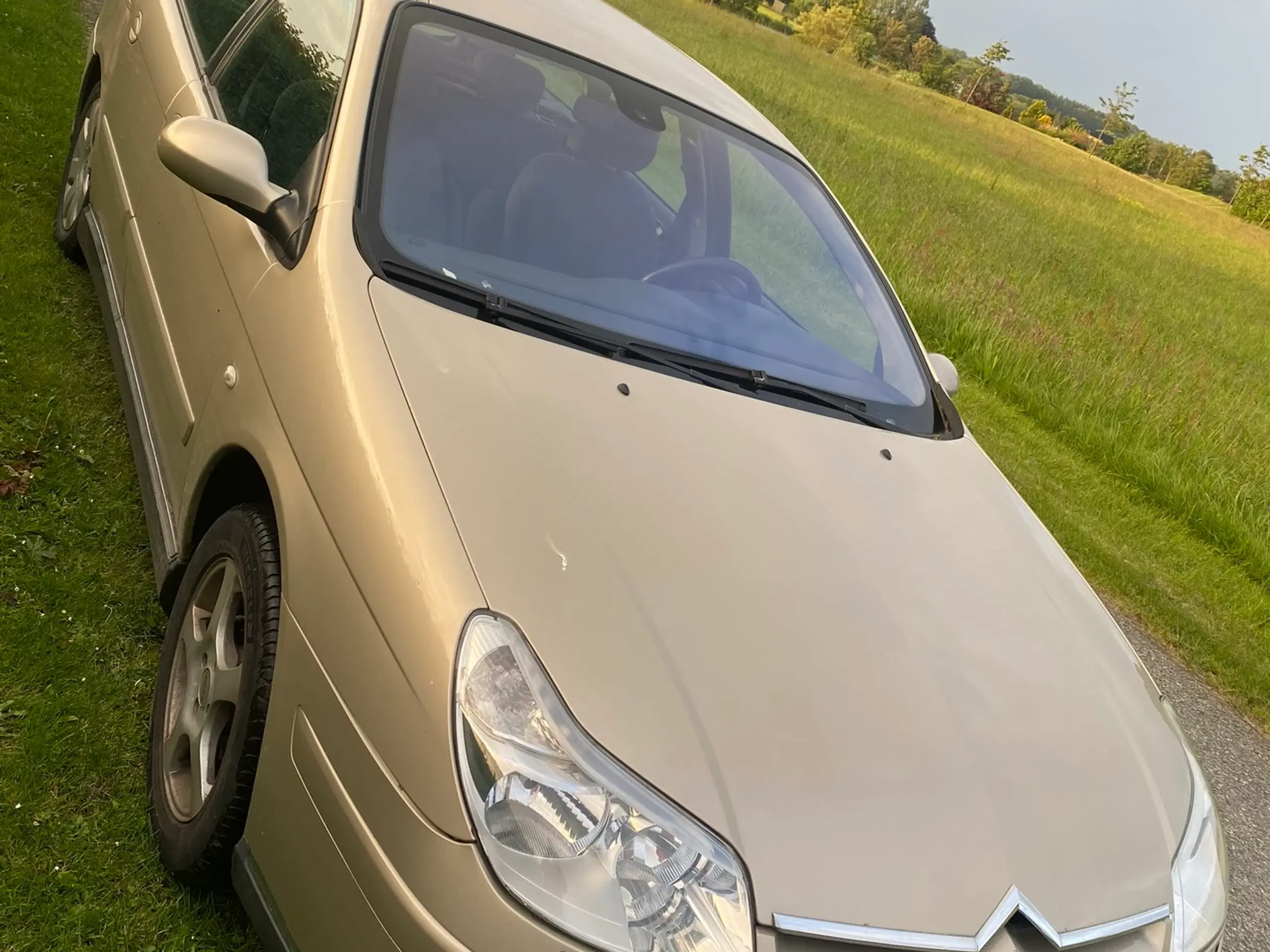 Citroen C5 16 Hdi 16v Weekend St car