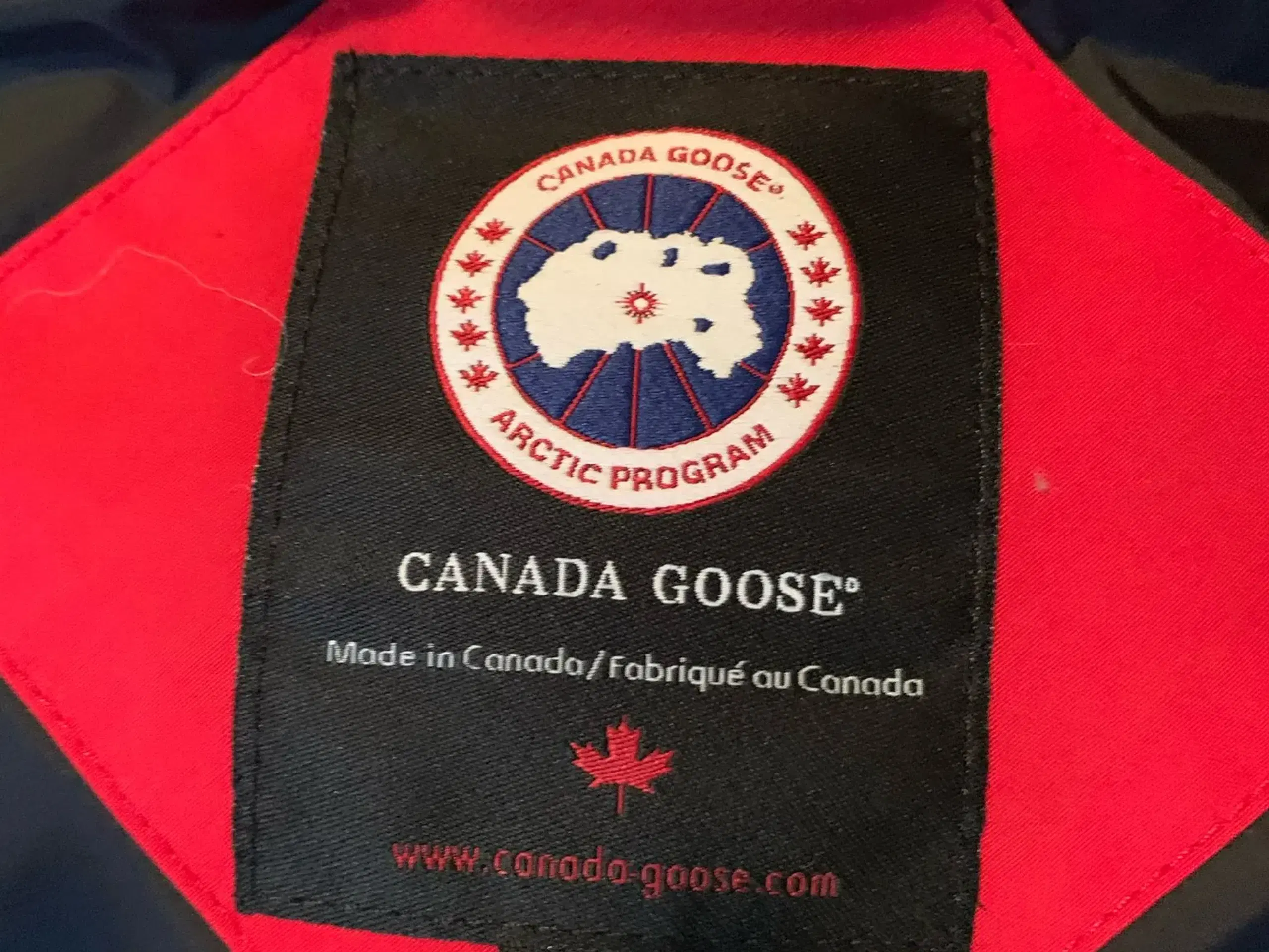 Canada Goose