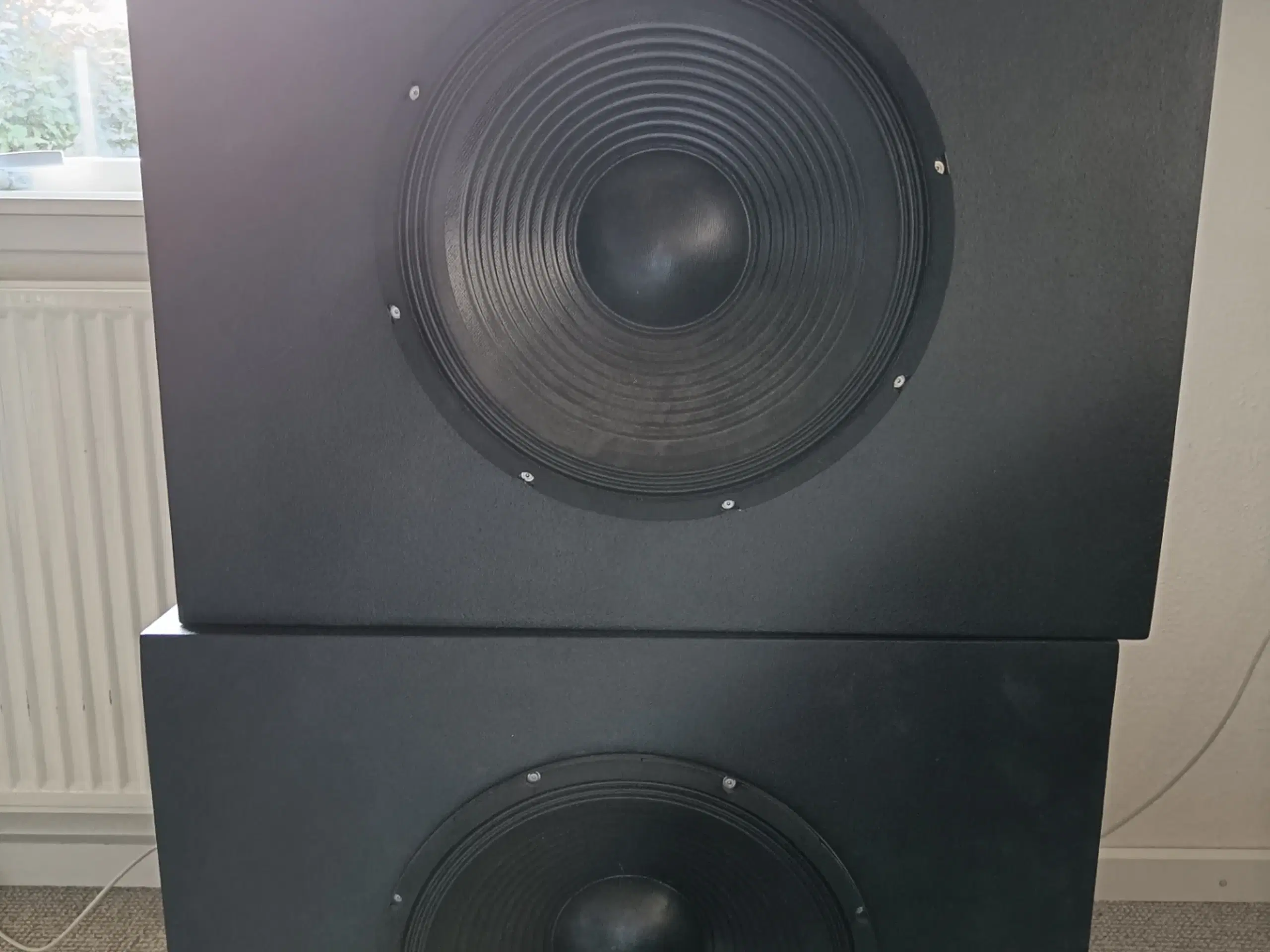 Højtalere - 2x 15" PA Subwoofer