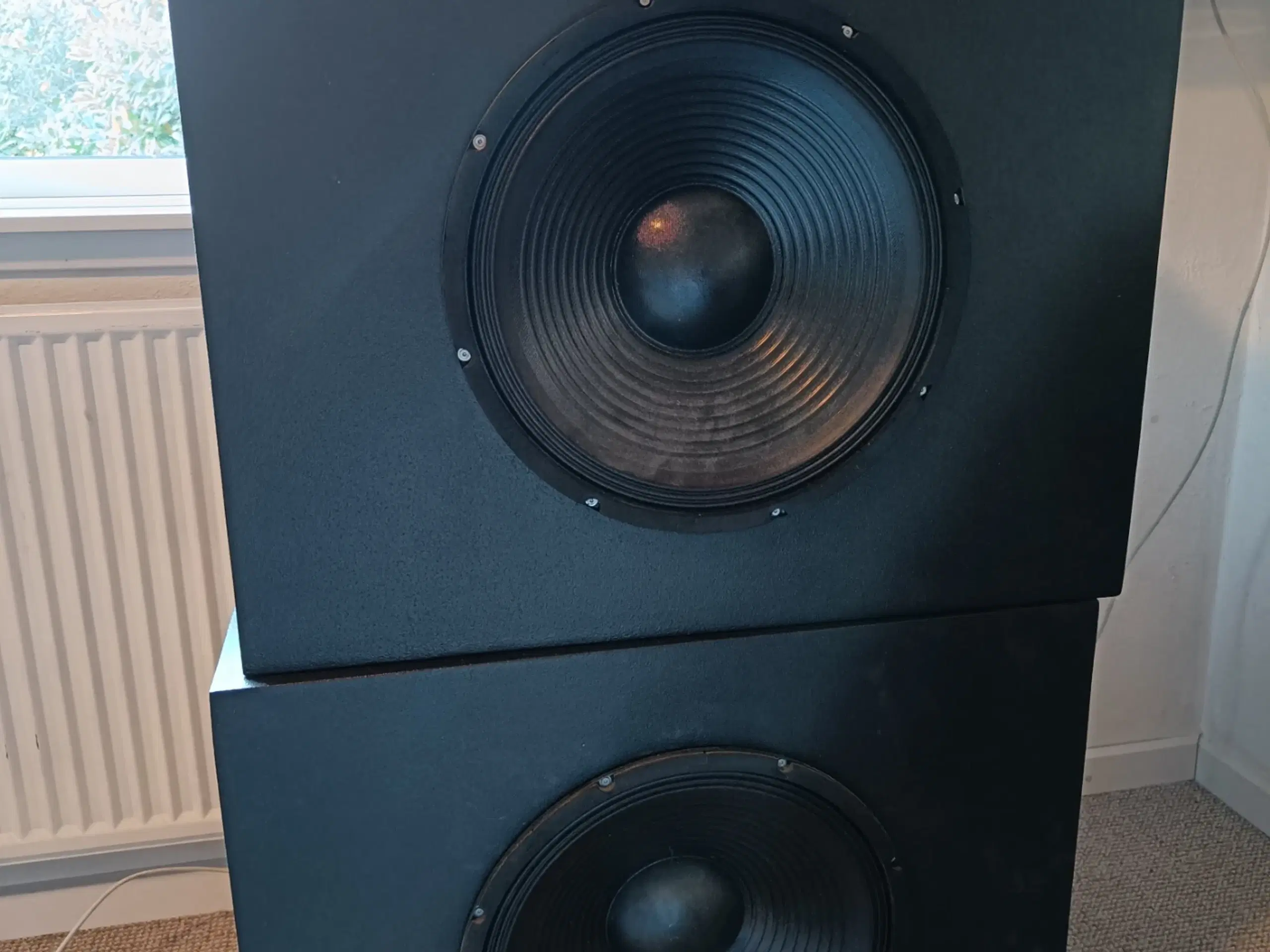 Højtalere - 2x 15" PA Subwoofer