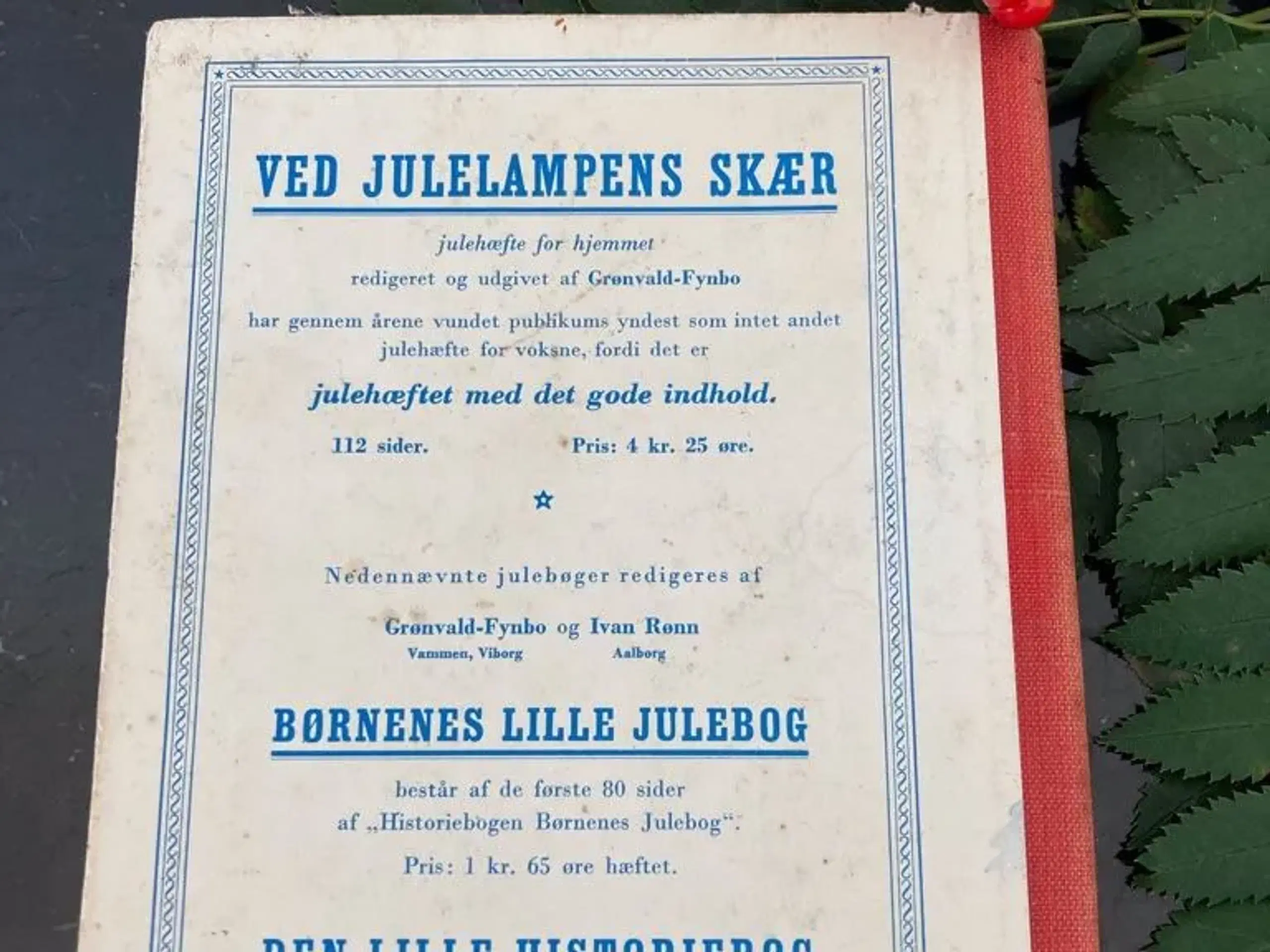 Børnenes julebog