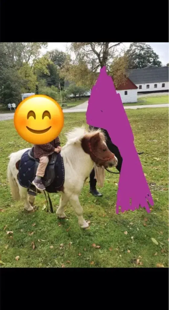 Lække pony