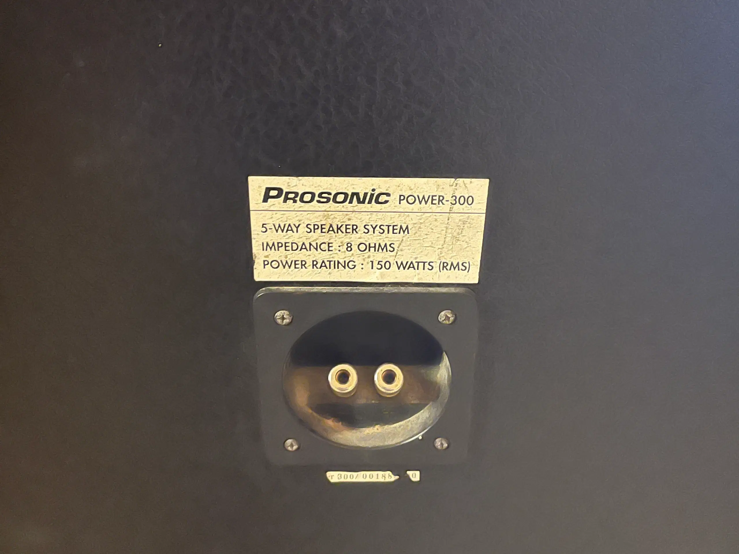 Højttalere prosonic power 300