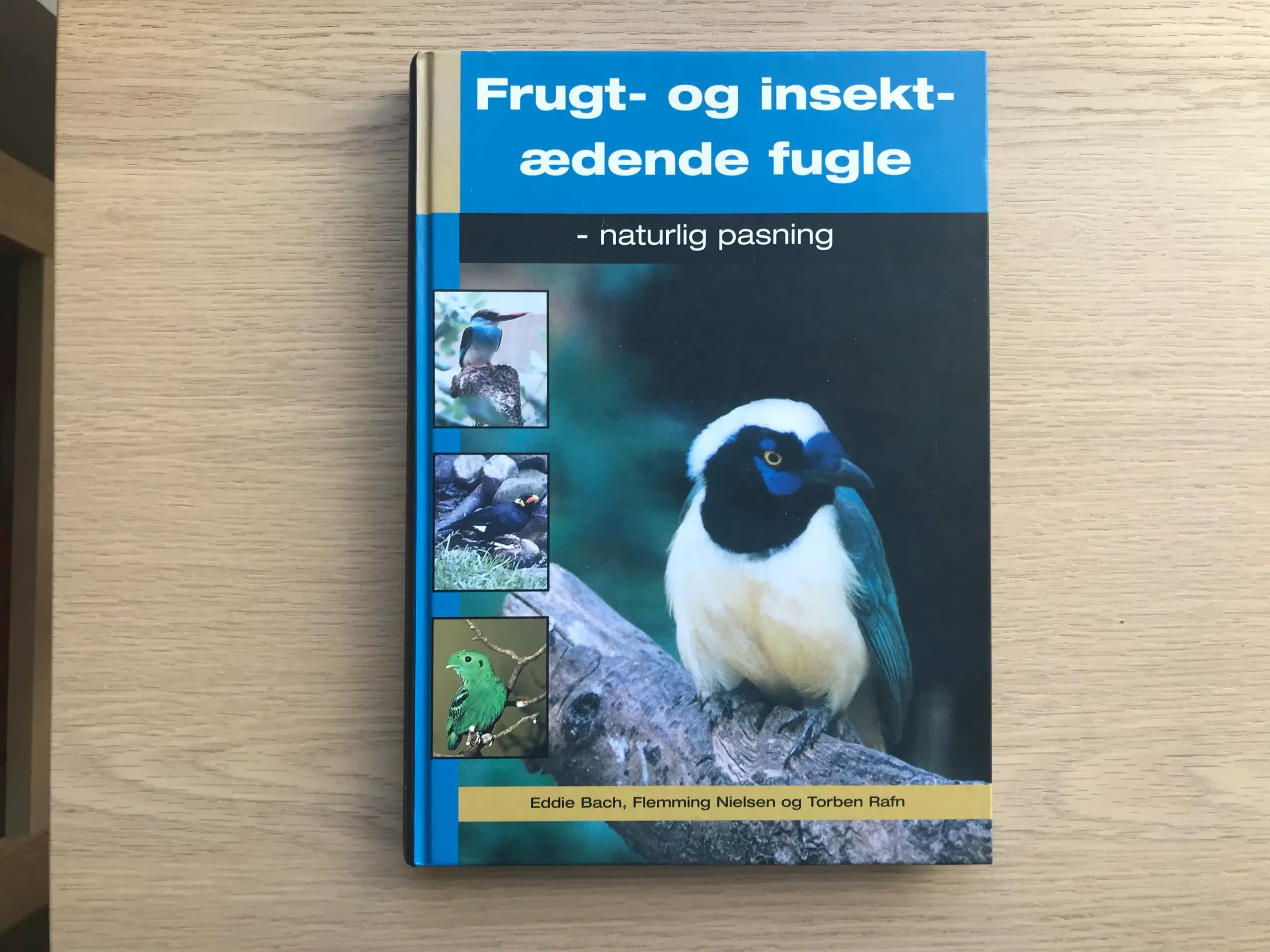 Frugt- og insektædende fugle - naturlig pasning