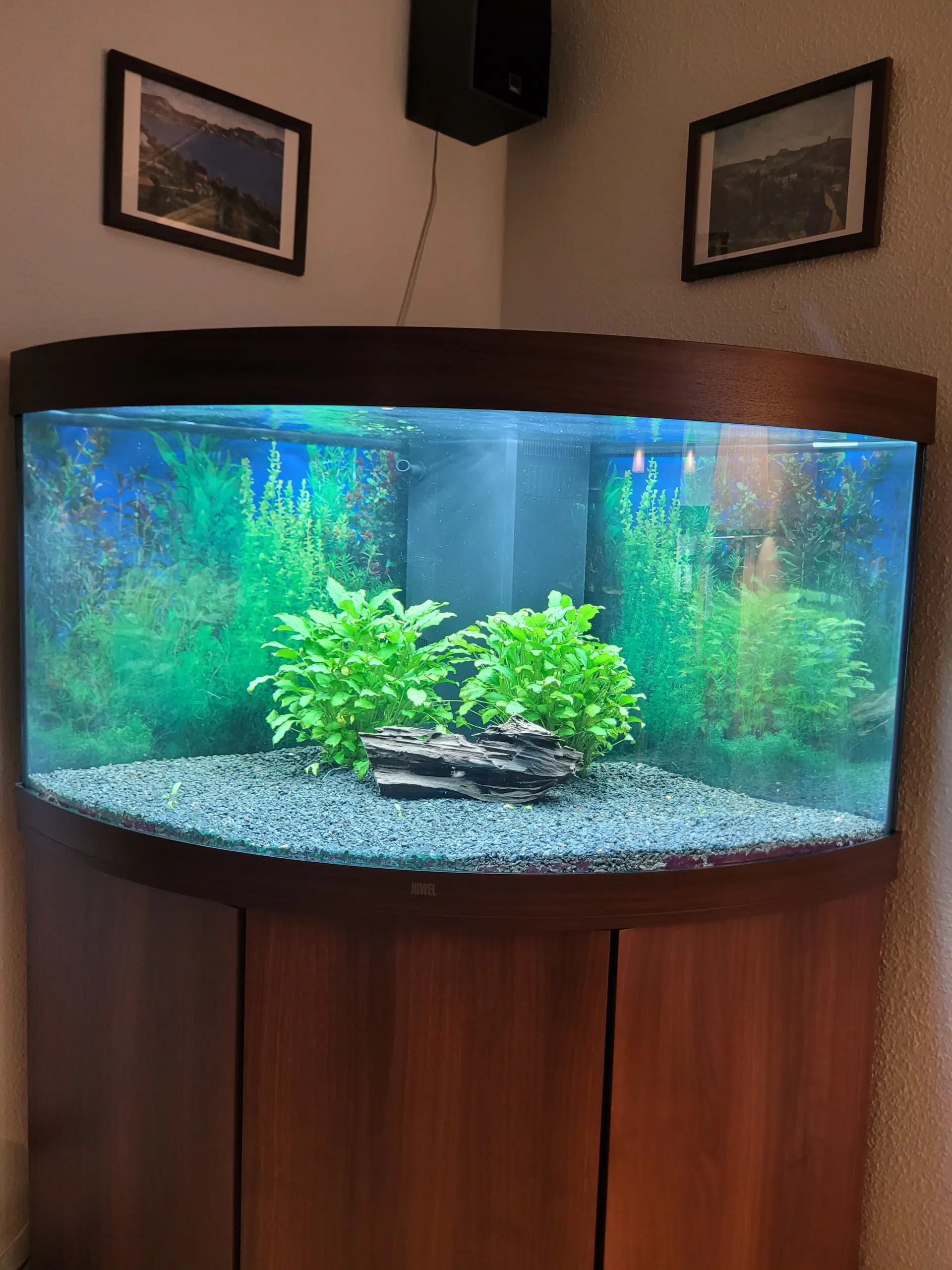 Juwel Trigon  350 ltr