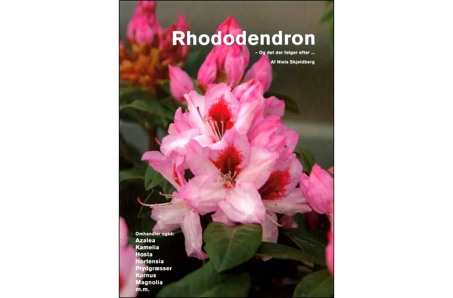 Rhododendron - og det der følger efter