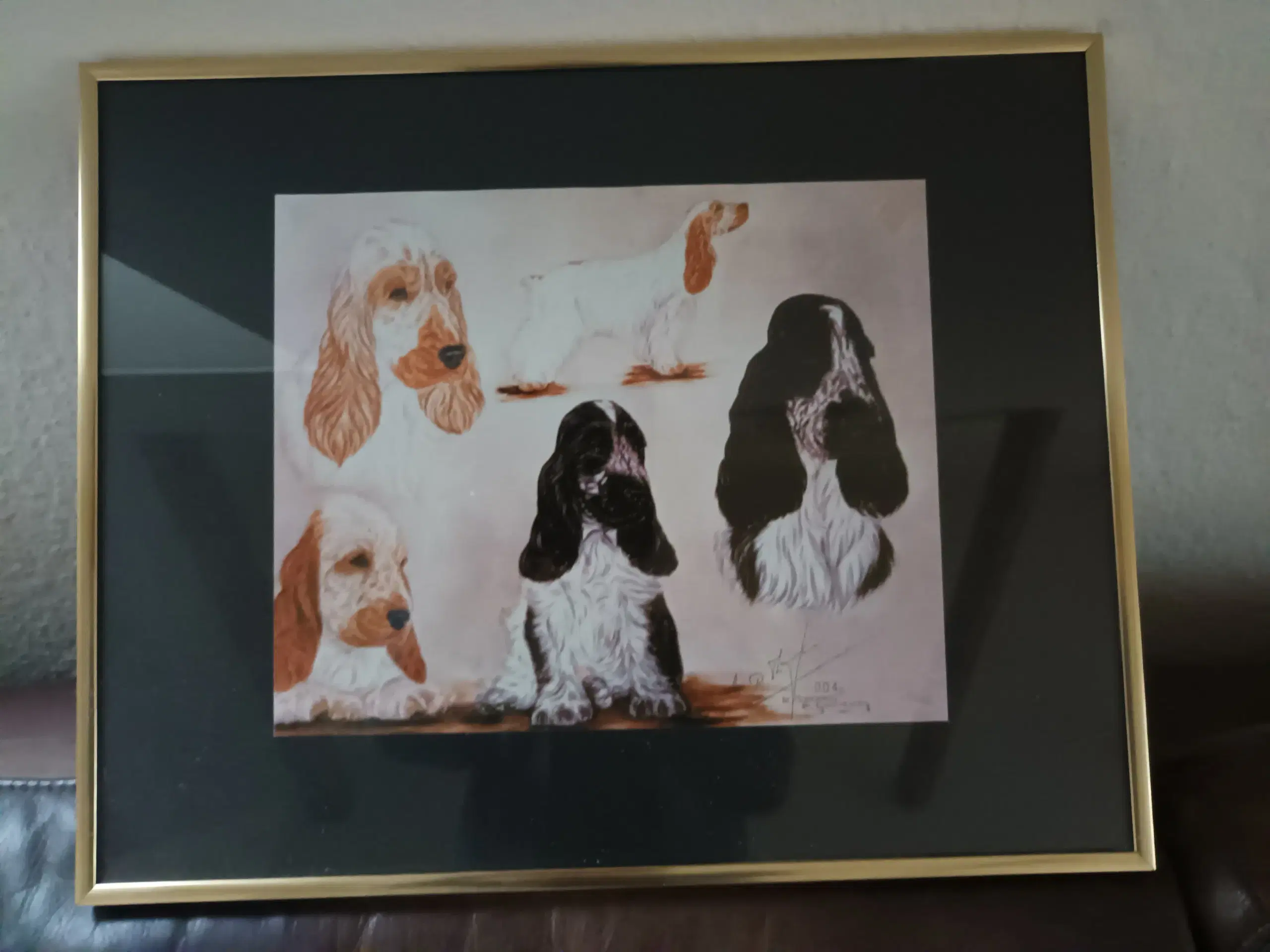 Billede  af Cocker spaniels