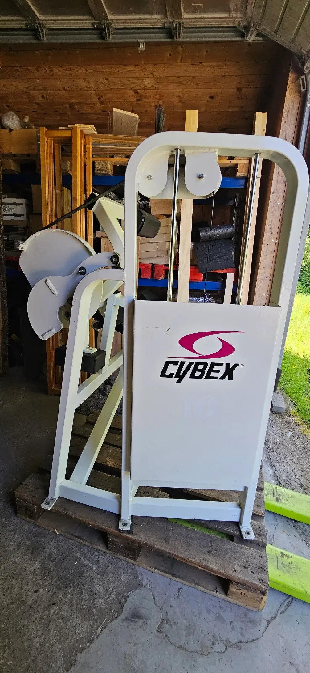 Cybex Back Extension