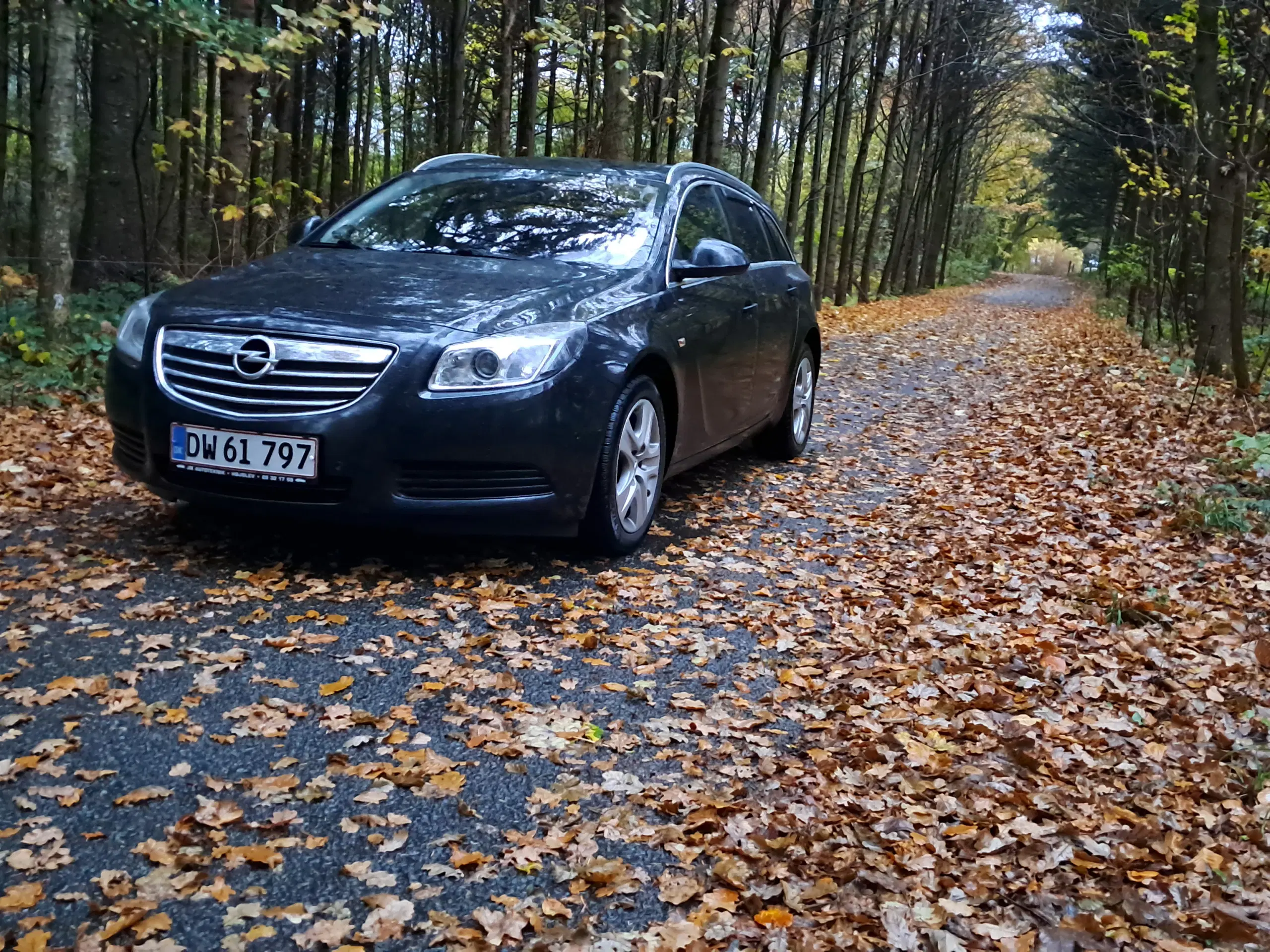 Opel insignia 2011