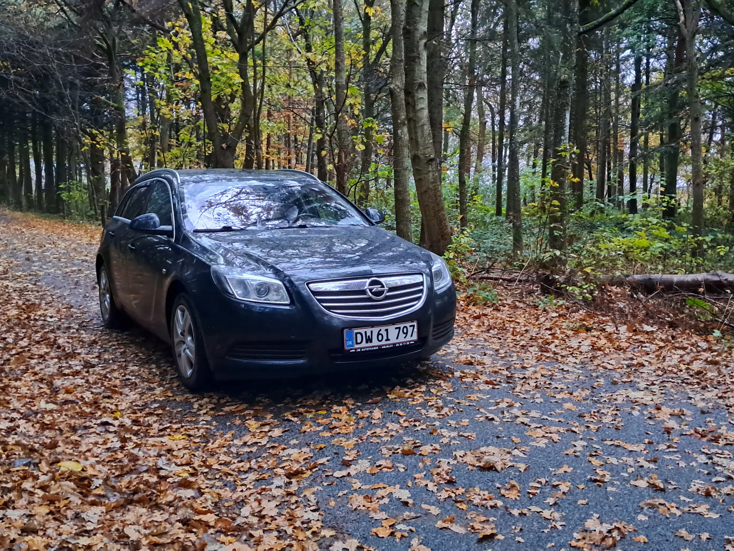 Opel insignia 2011