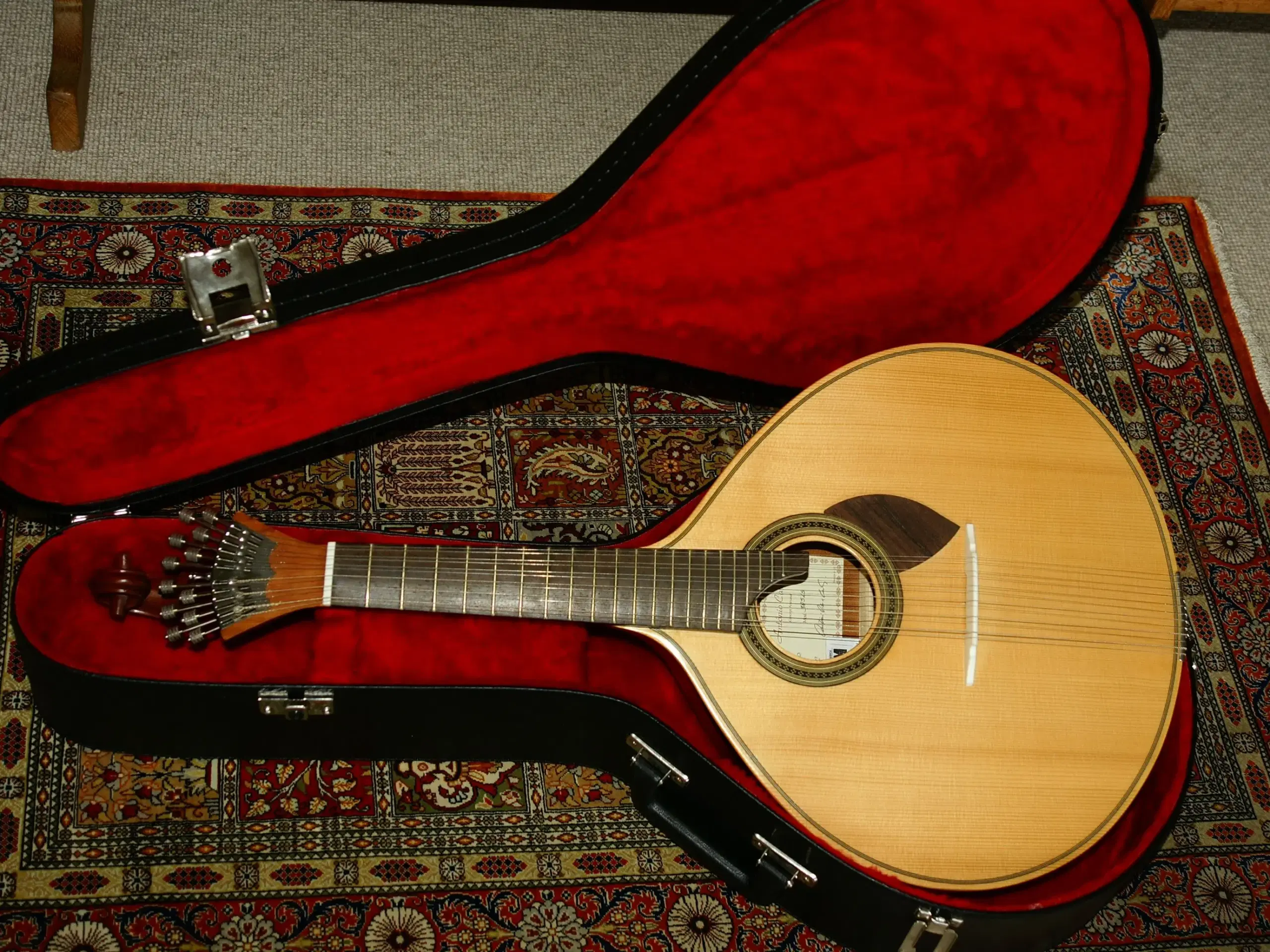 Portugiser guitar