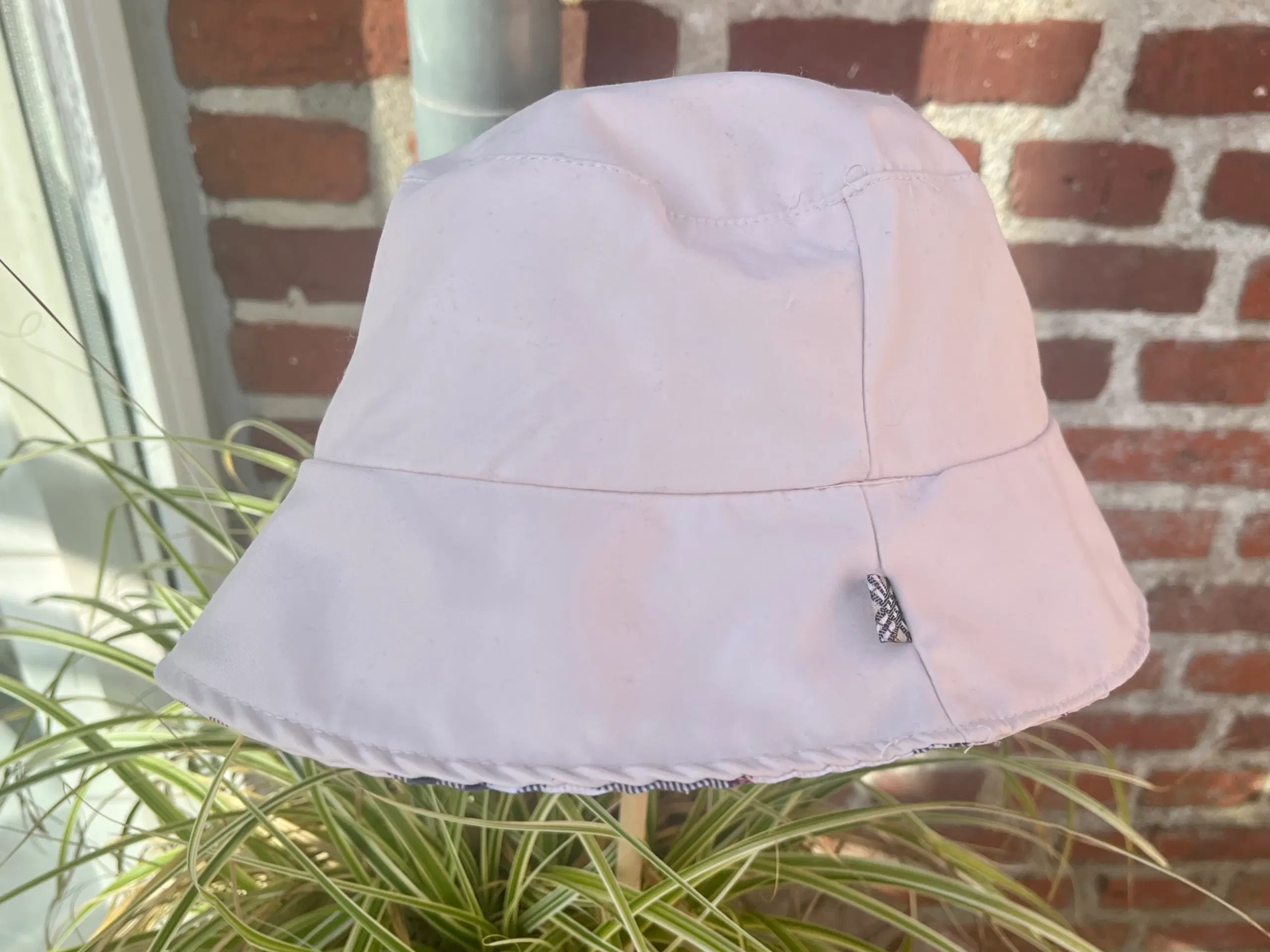 Burberry hat